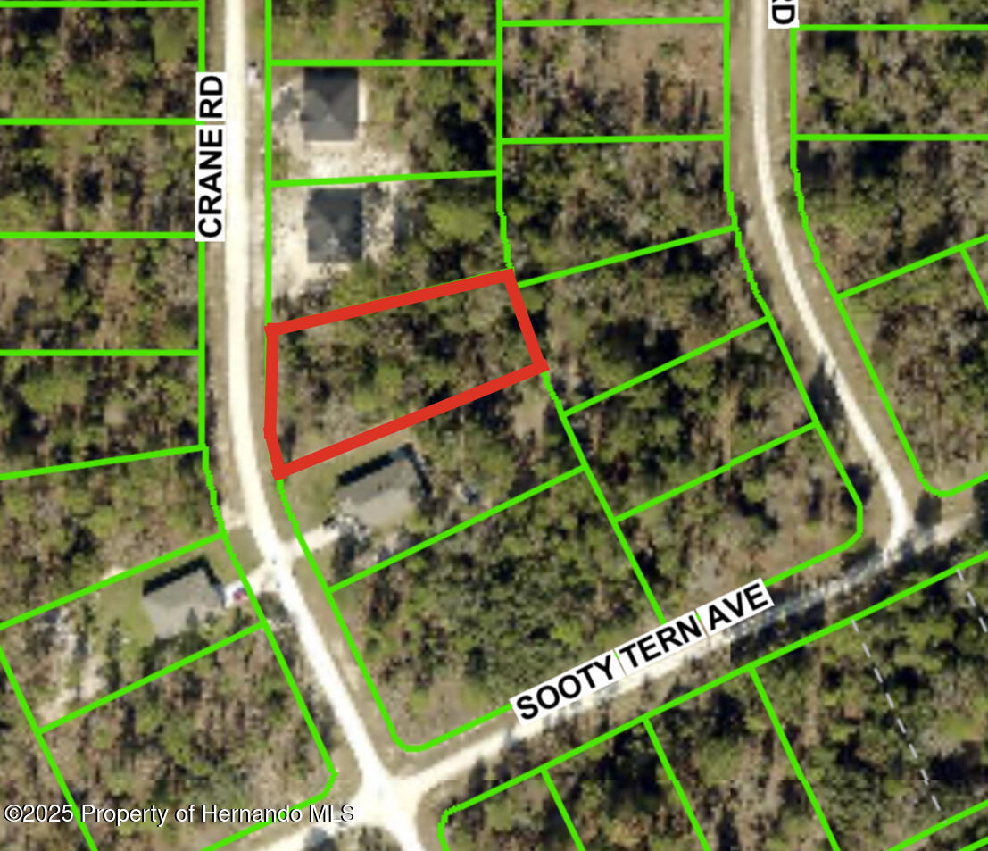 Crane Road, Brooksville, Florida image 1