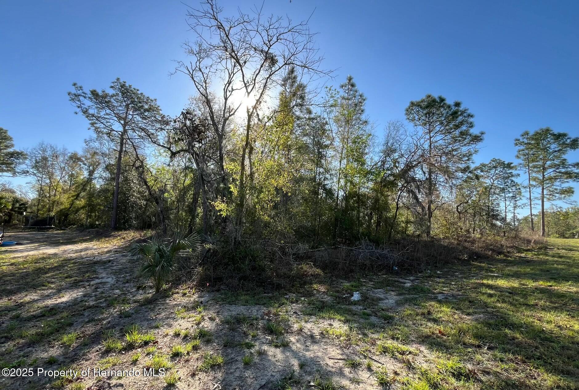 Crane Road, Brooksville, Florida image 5