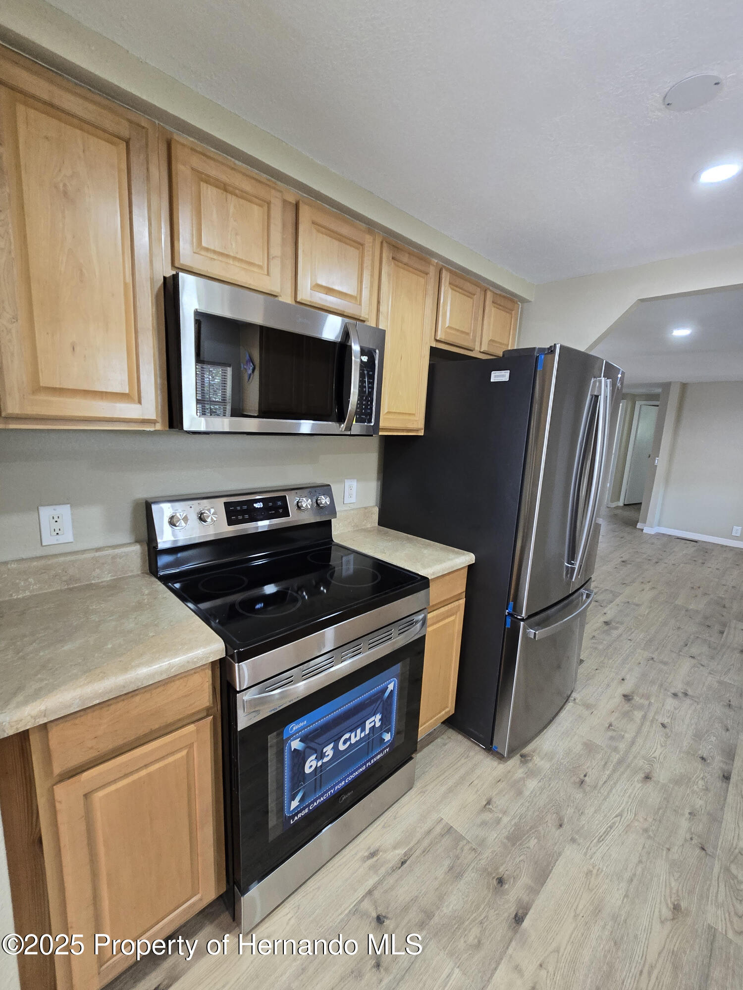15342 Brookridge Boulevard, Brooksville, Florida image 1