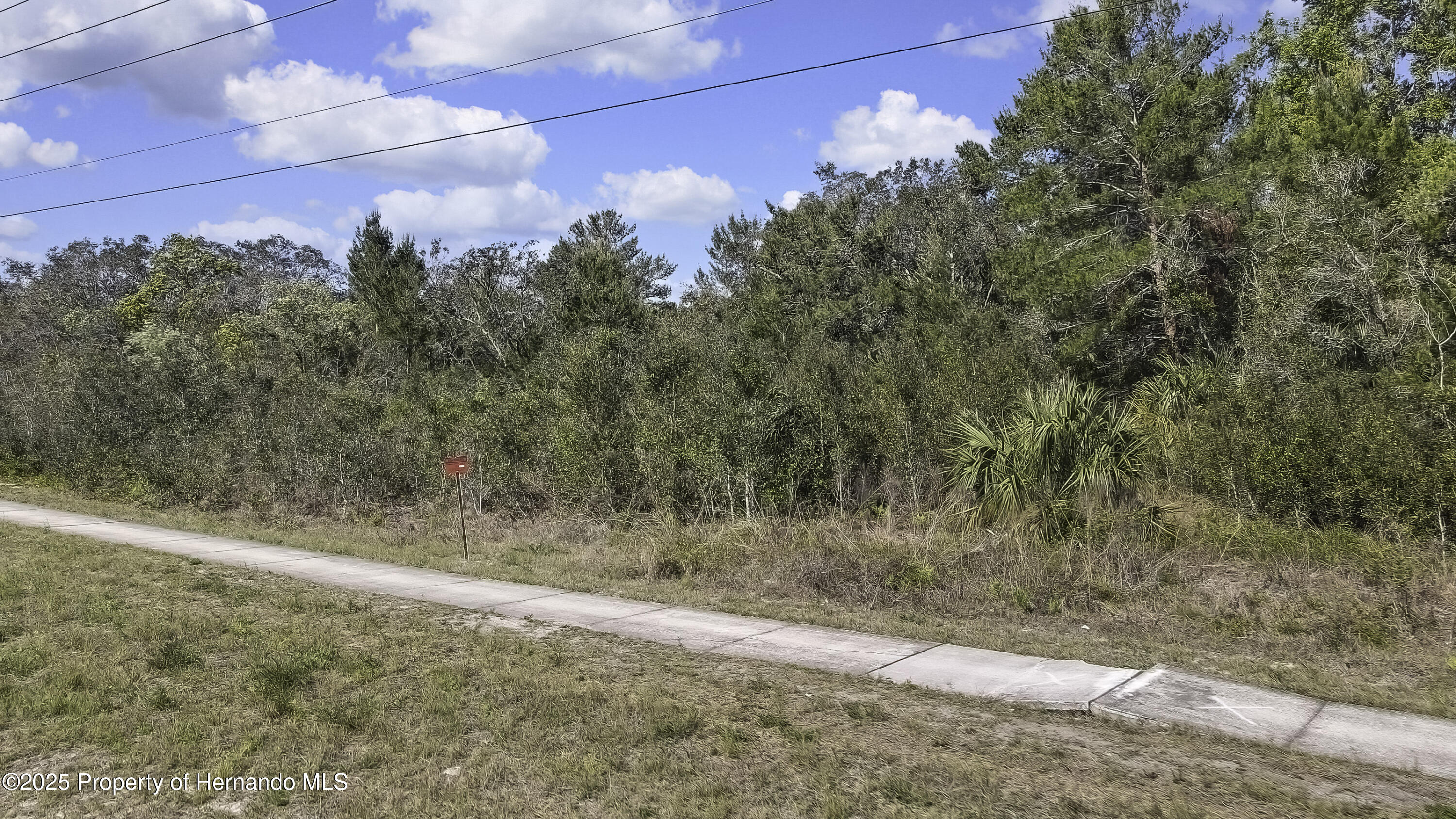 18121 Us-19, Hudson, Florida image 3