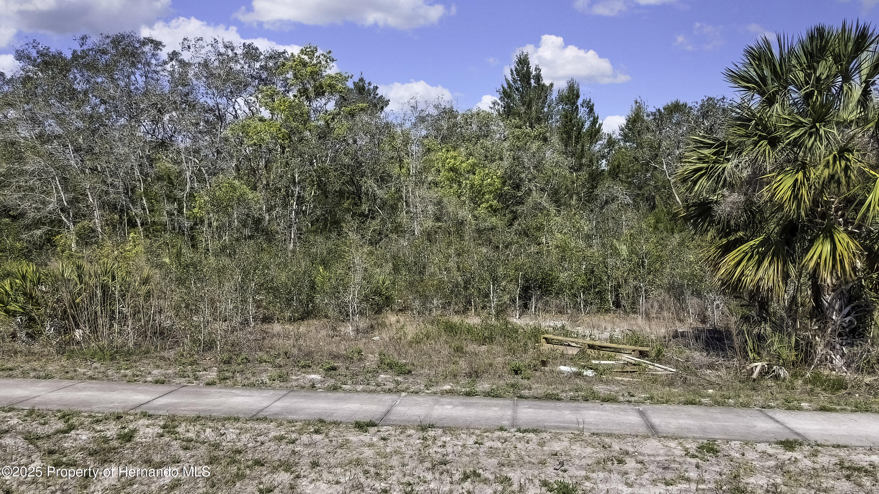 18121 Us-19, Hudson, Florida image 5