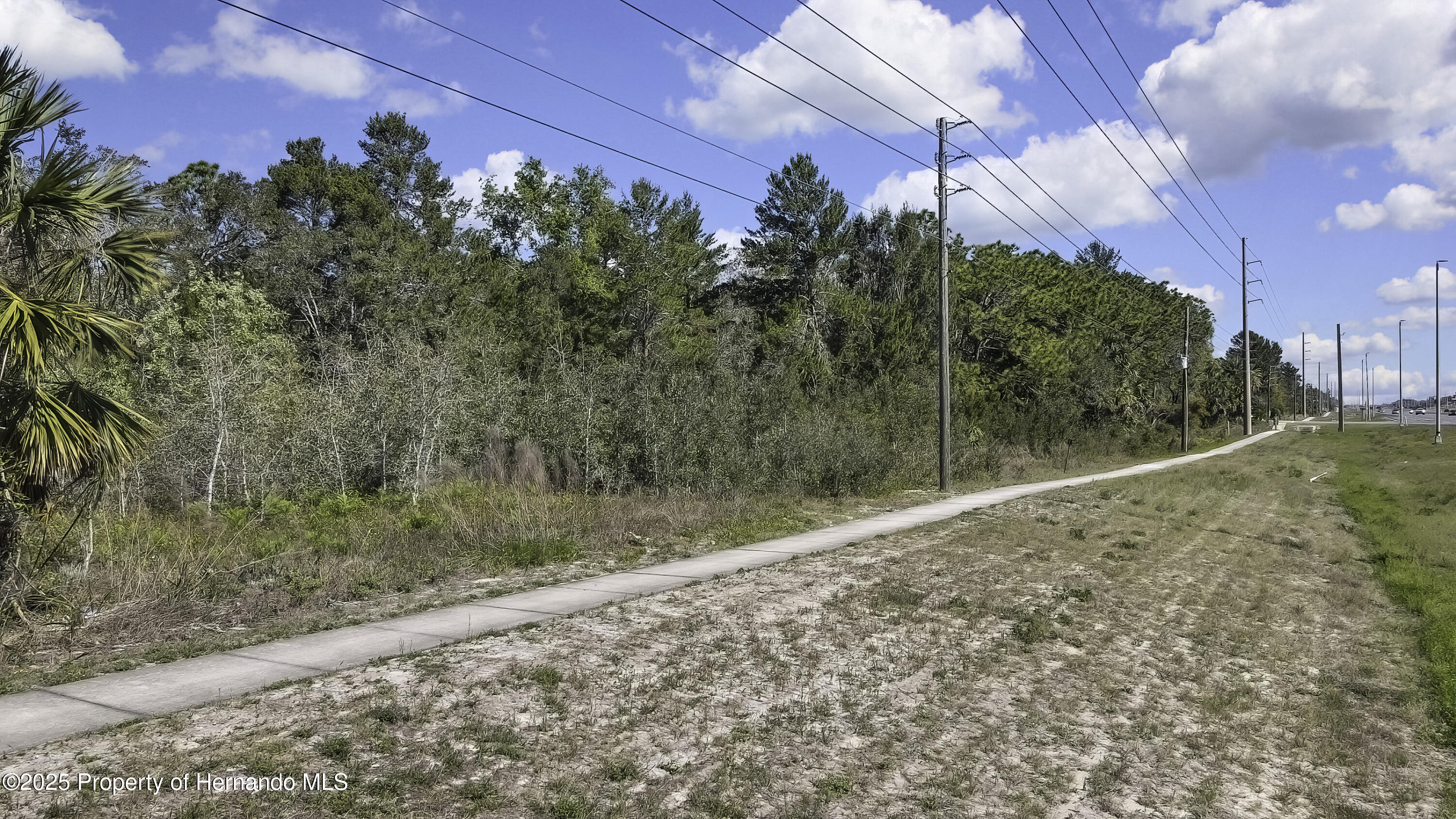 18121 Us-19, Hudson, Florida image 6