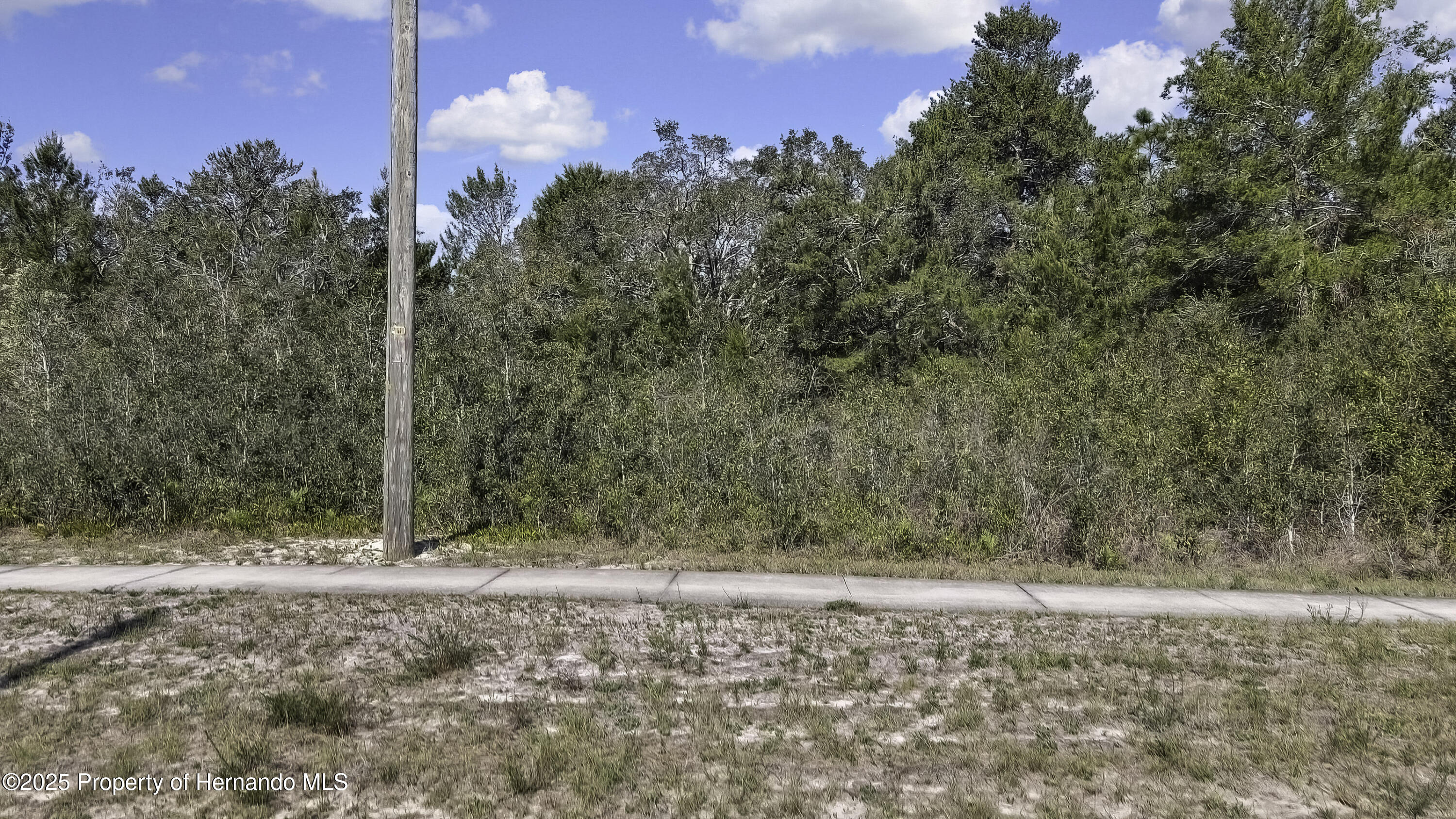 18121 Us-19, Hudson, Florida image 4