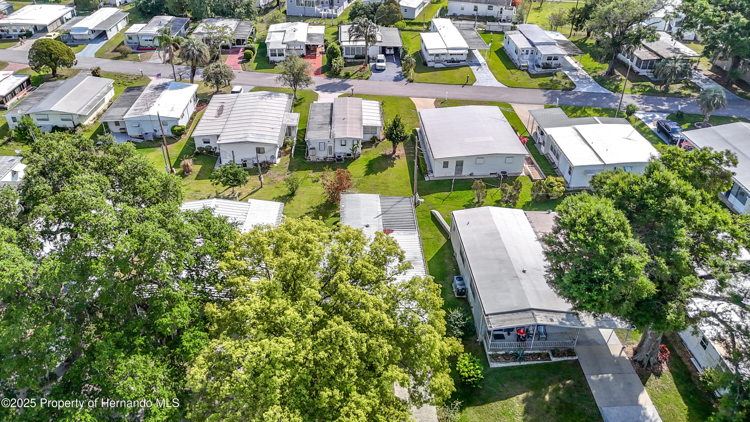 6124 Crestview Lane, Zephyrhills, Florida image 1