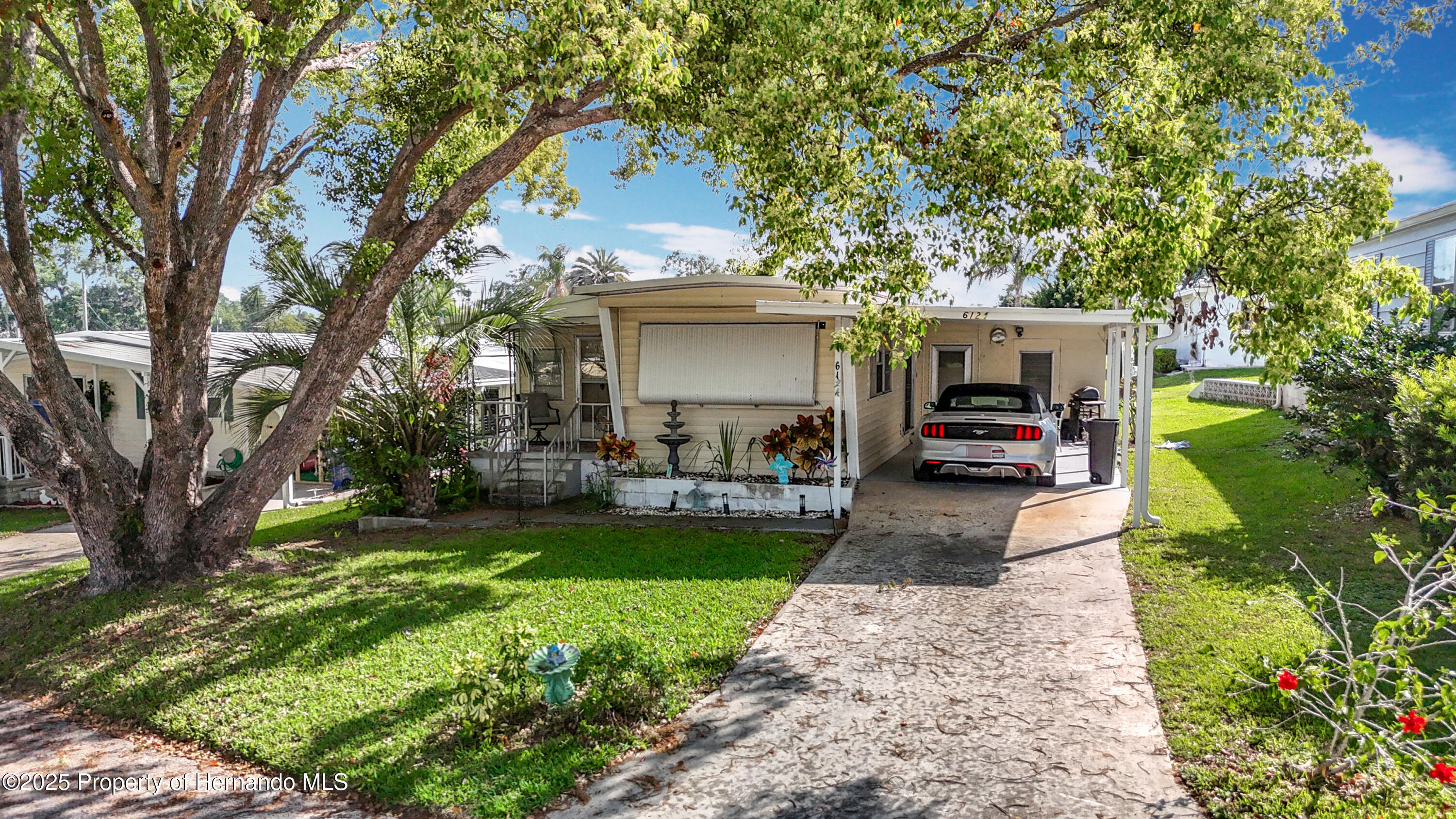 6124 Crestview Lane, Zephyrhills, Florida image 3