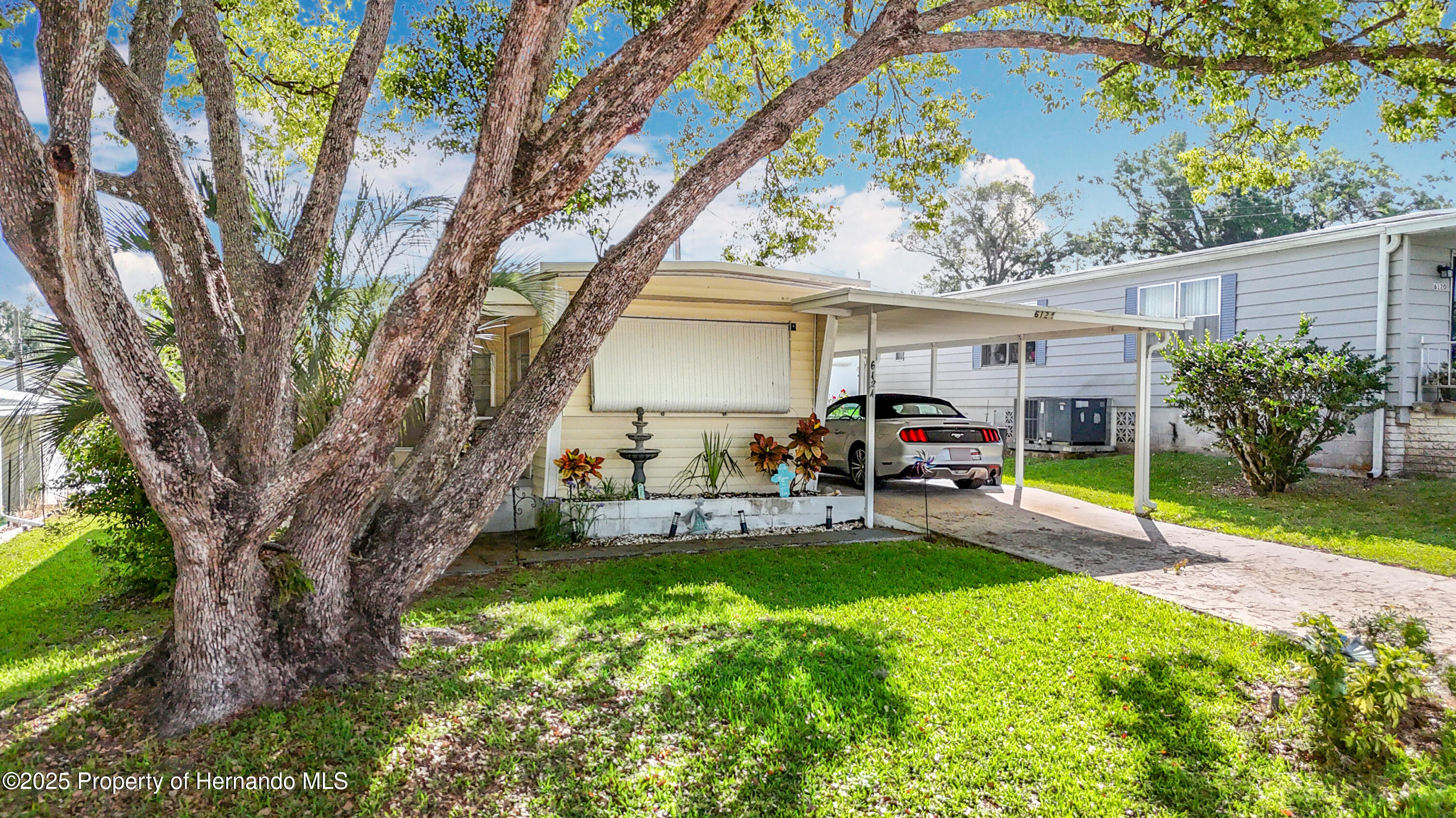 6124 Crestview Lane, Zephyrhills, Florida image 5