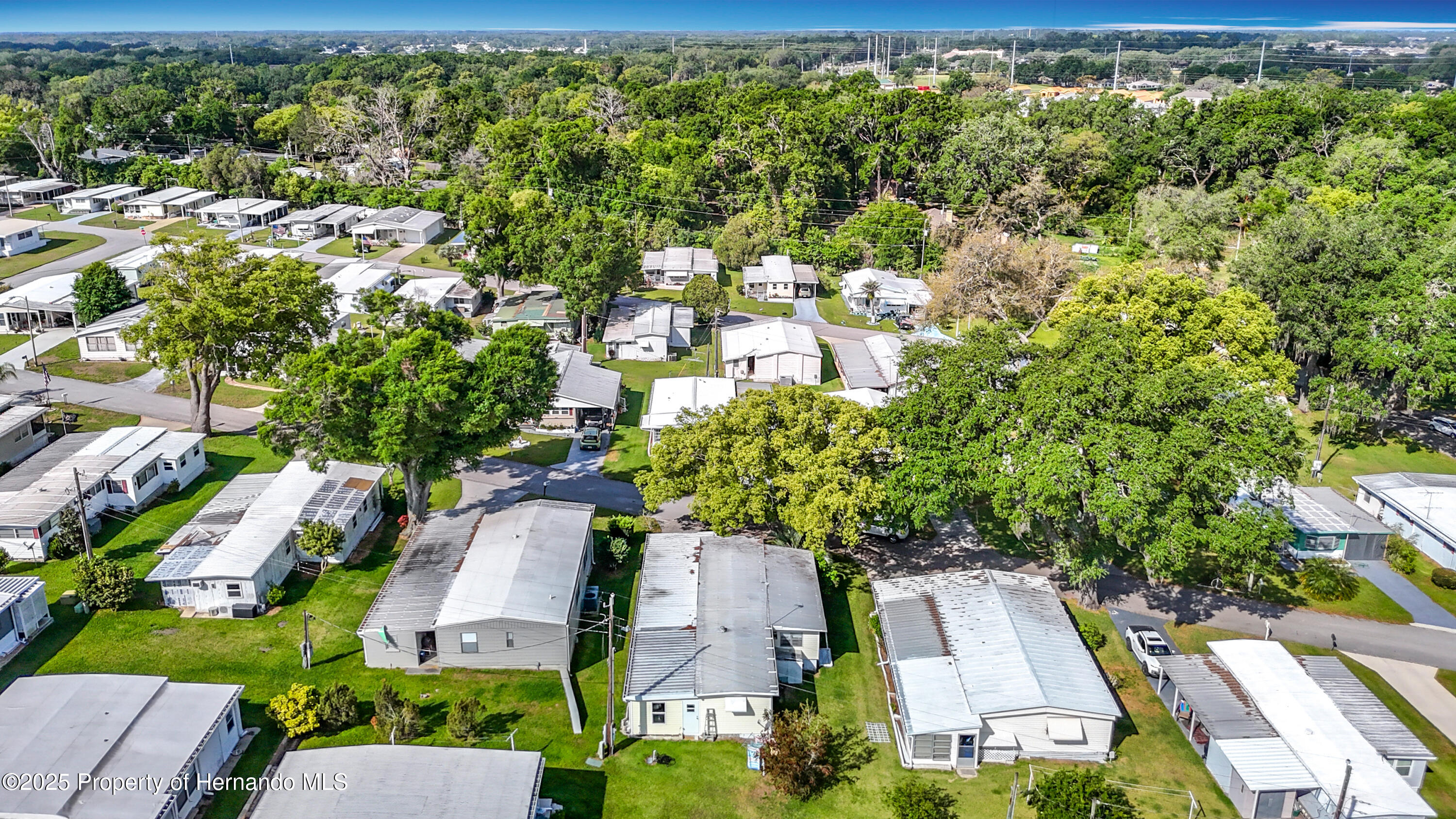 6124 Crestview Lane, Zephyrhills, Florida image 32