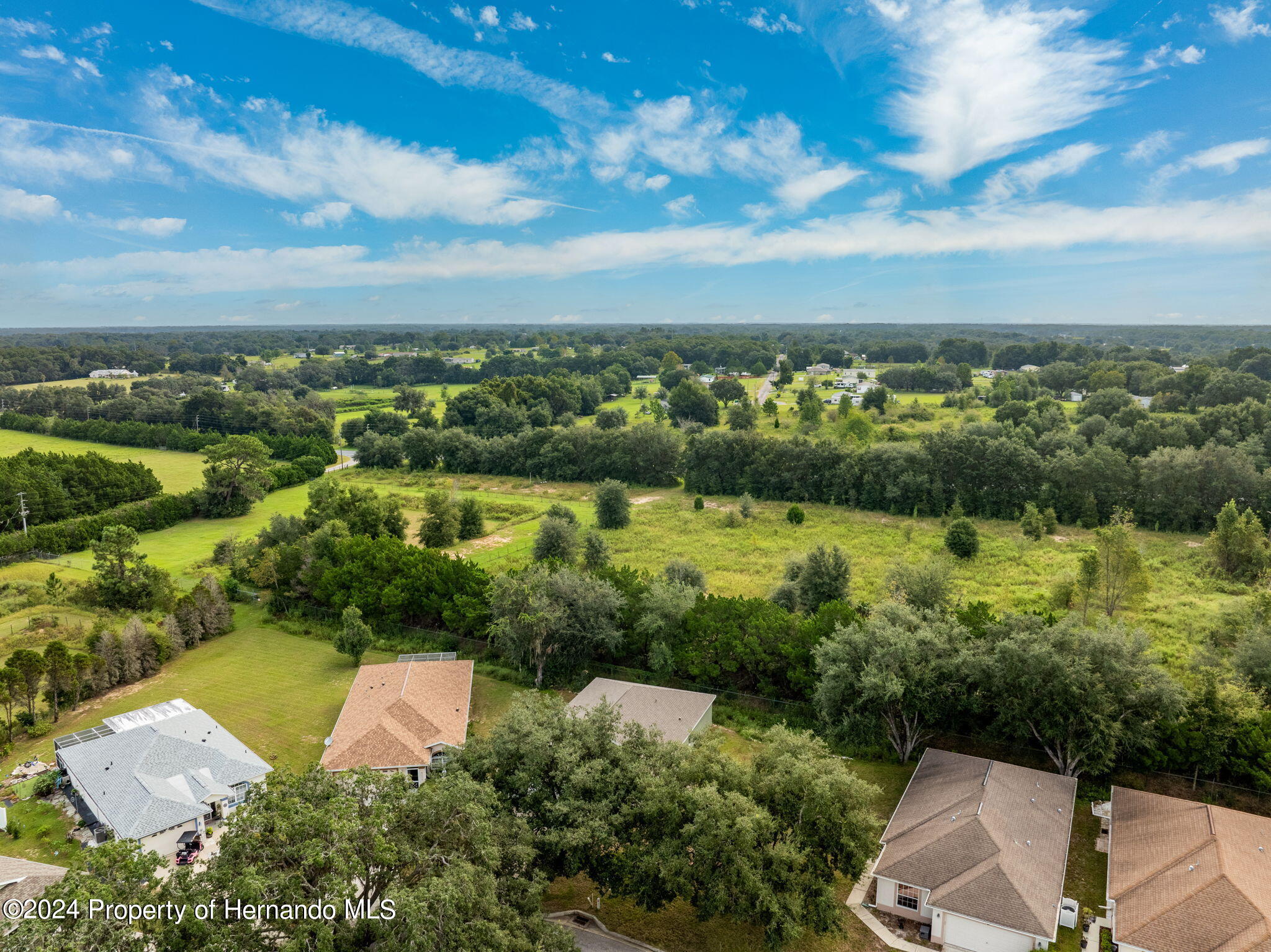 10425 S Drew Bryant Circle, Floral City, Florida image 32
