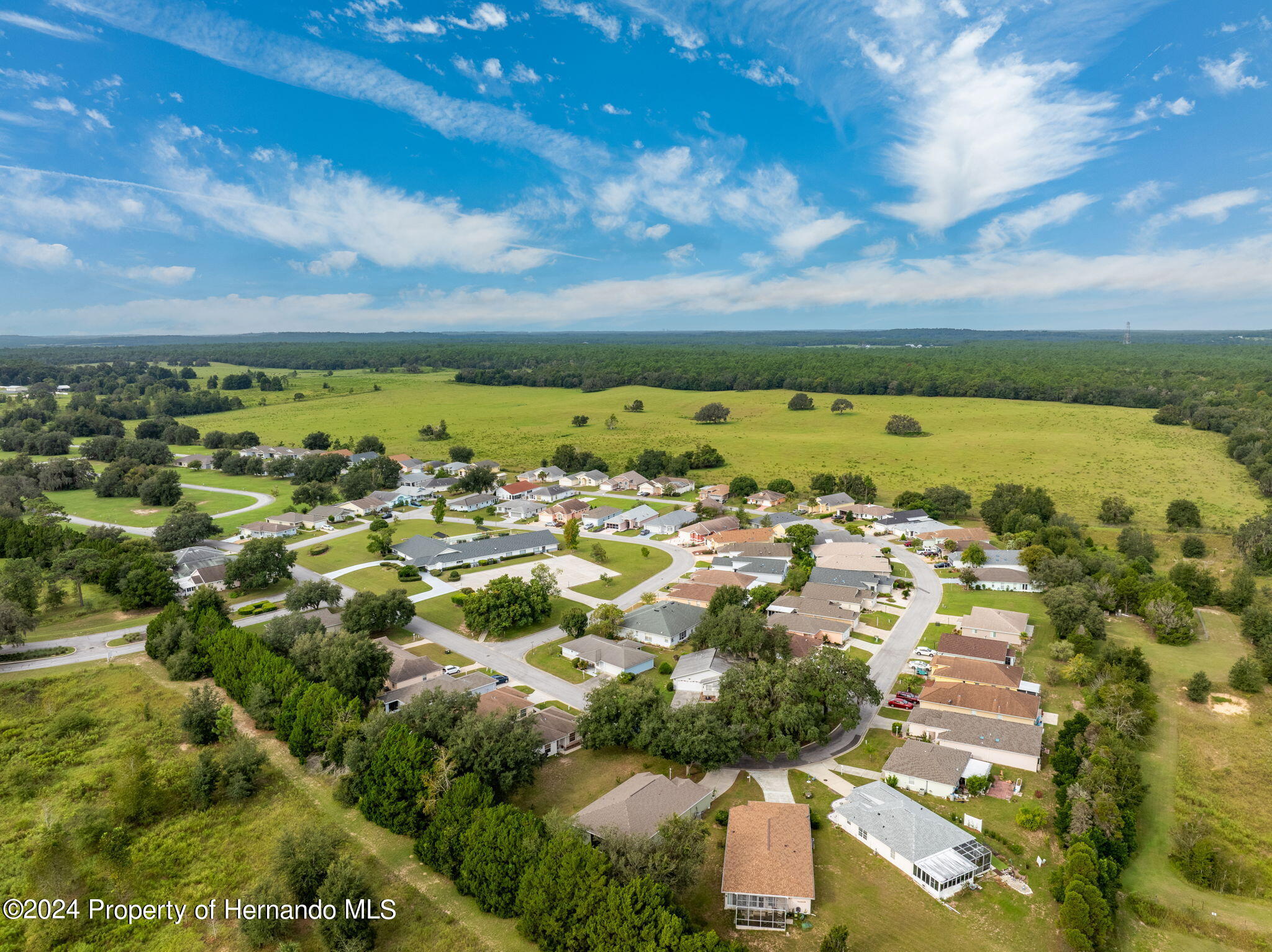 10425 S Drew Bryant Circle, Floral City, Florida image 34