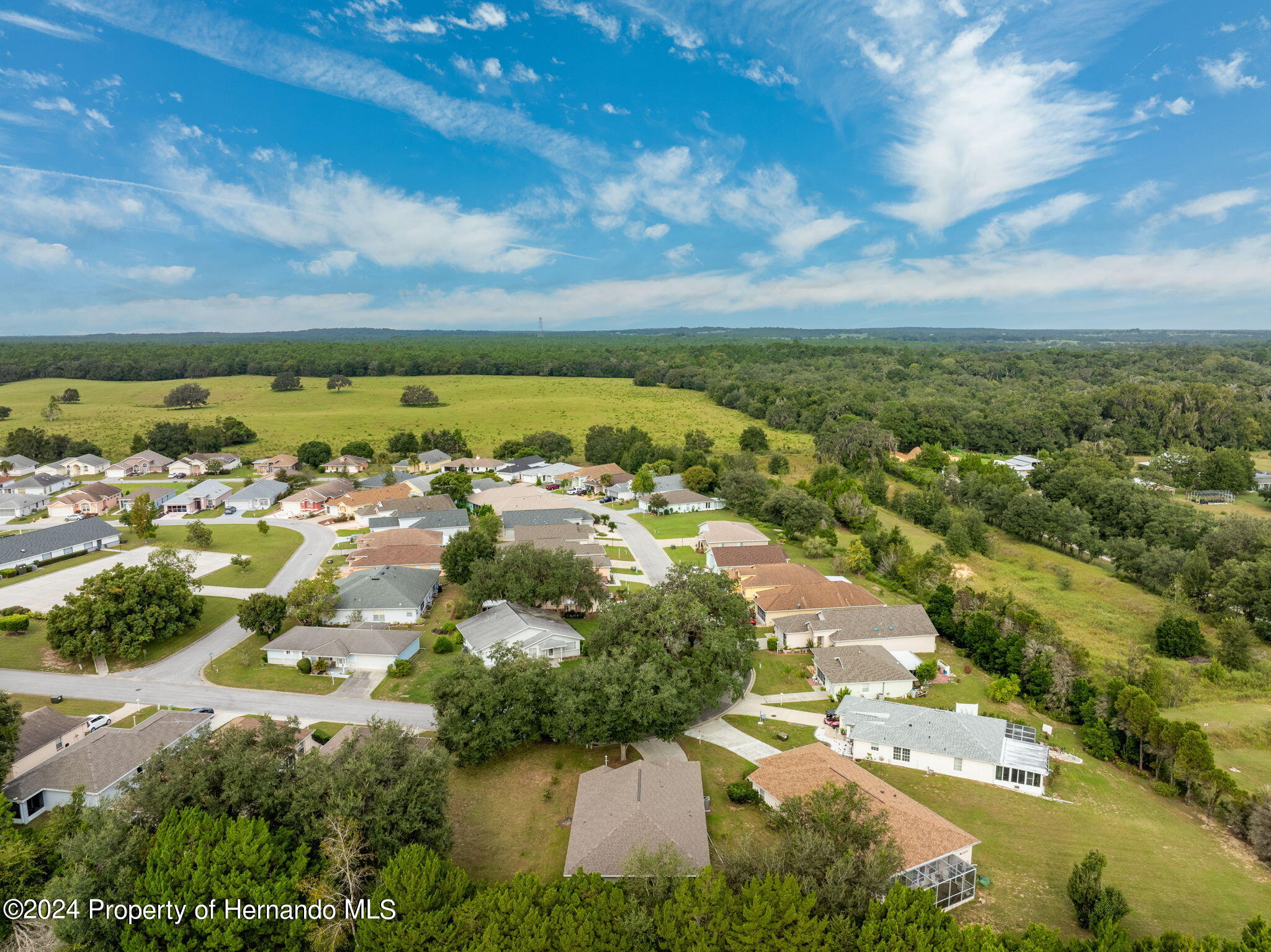 10425 S Drew Bryant Circle, Floral City, Florida image 35