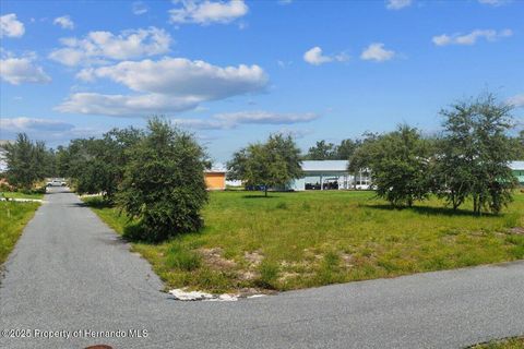 Vacant Land For Sale - SW 869th Loop<br/> Dixie County, Steinhatchee, FL 32359