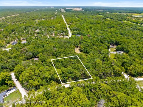 Vacant Land For Sale - Ricebird Avenue<br/> Weeki Wachee, FL 34614