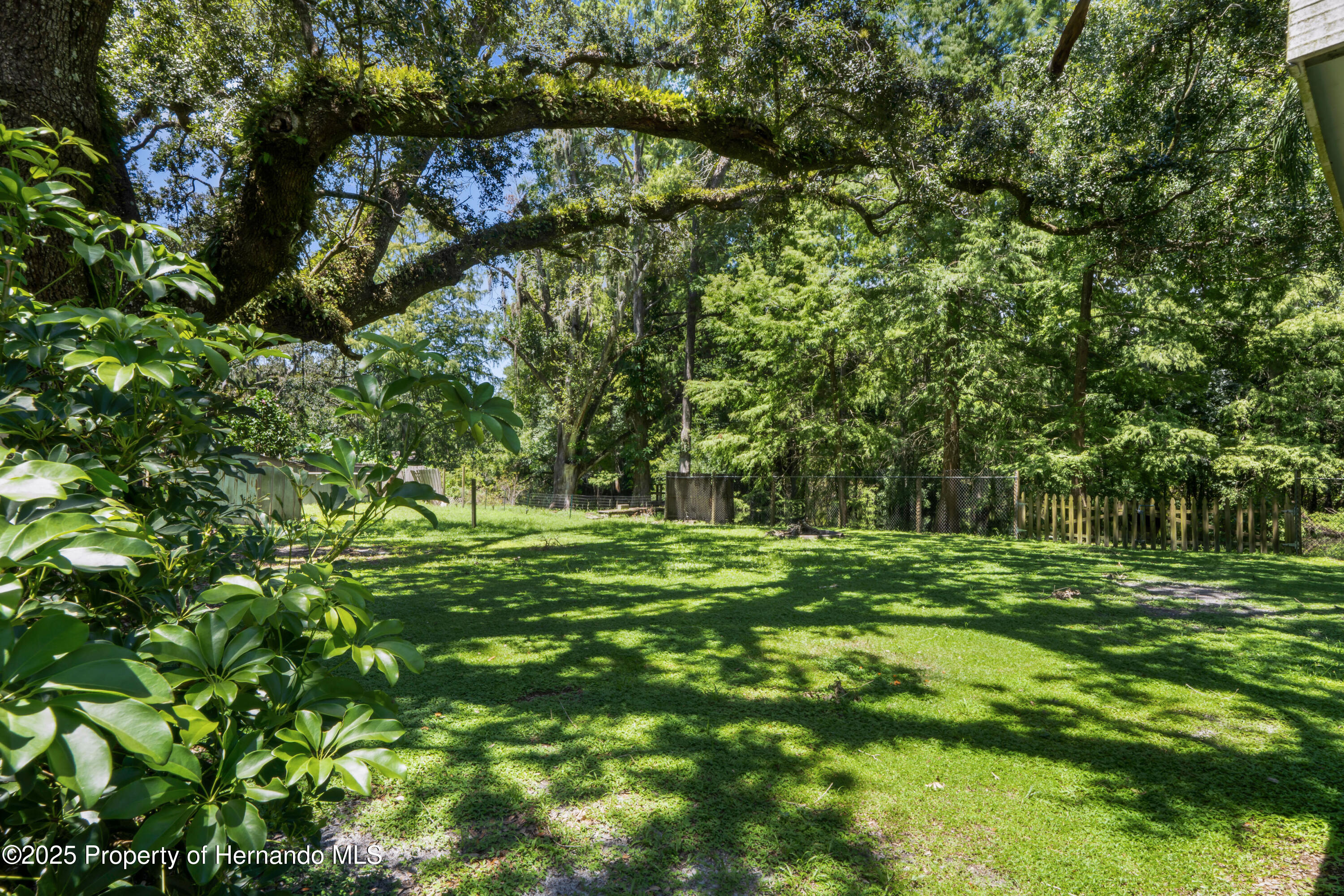 New Port Richey, Florida 34654, United States, 3 Bedrooms Bedrooms, ,1 BathroomBathrooms,Residential,Active,183463