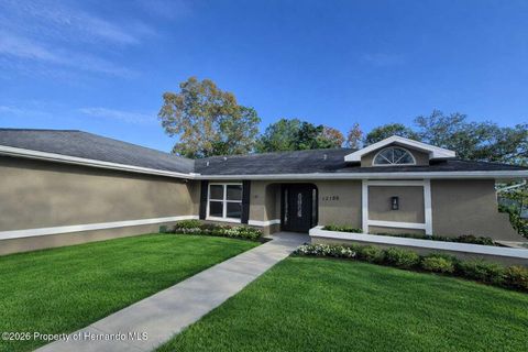 Homes For Sale - 12186 Lamont Drive<br/> Spring Hill, FL 34608