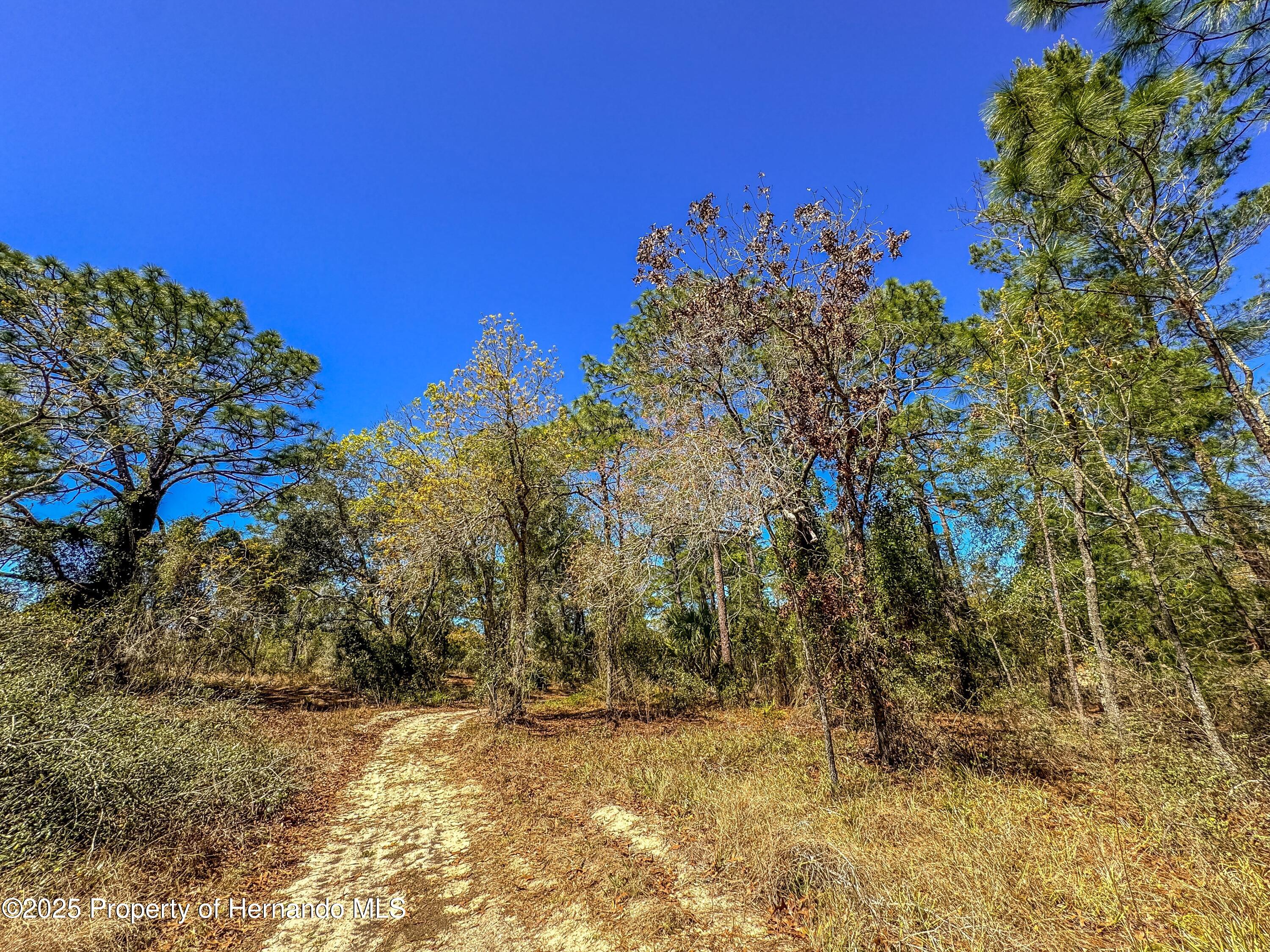 Sheffield Road, Spring Hill, Florida image 18