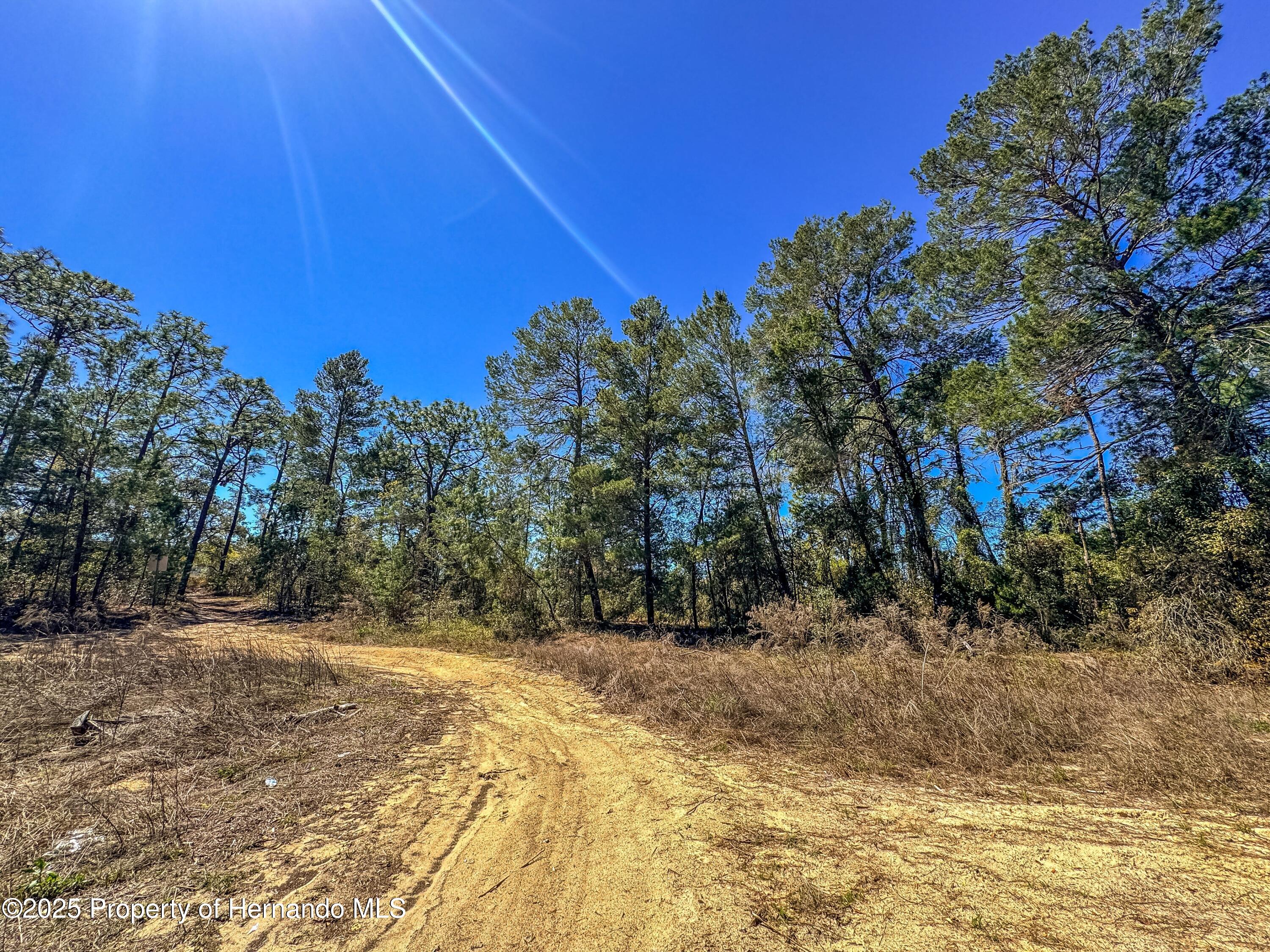 Sheffield Road, Spring Hill, Florida image 11