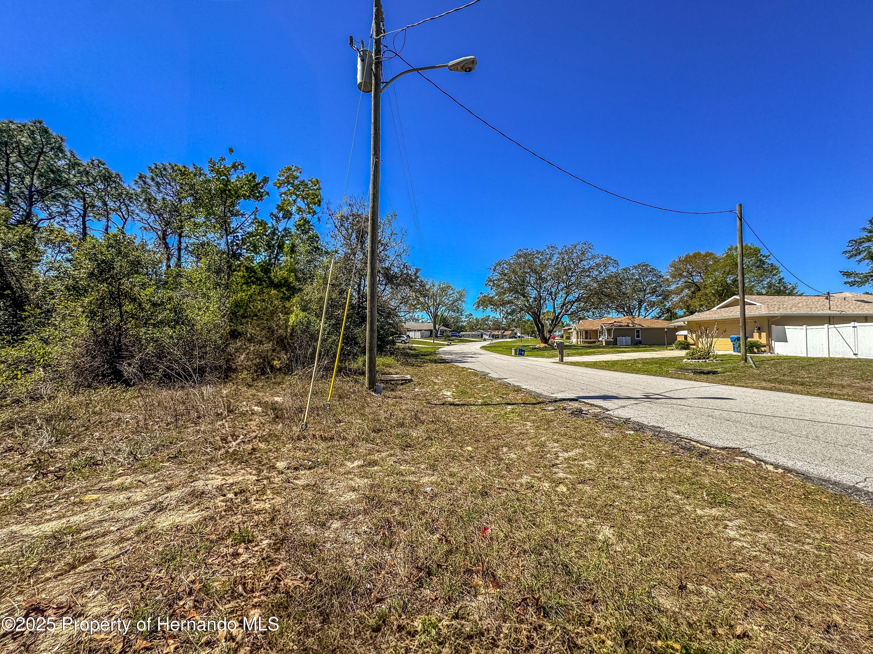 Sheffield Road, Spring Hill, Florida image 7