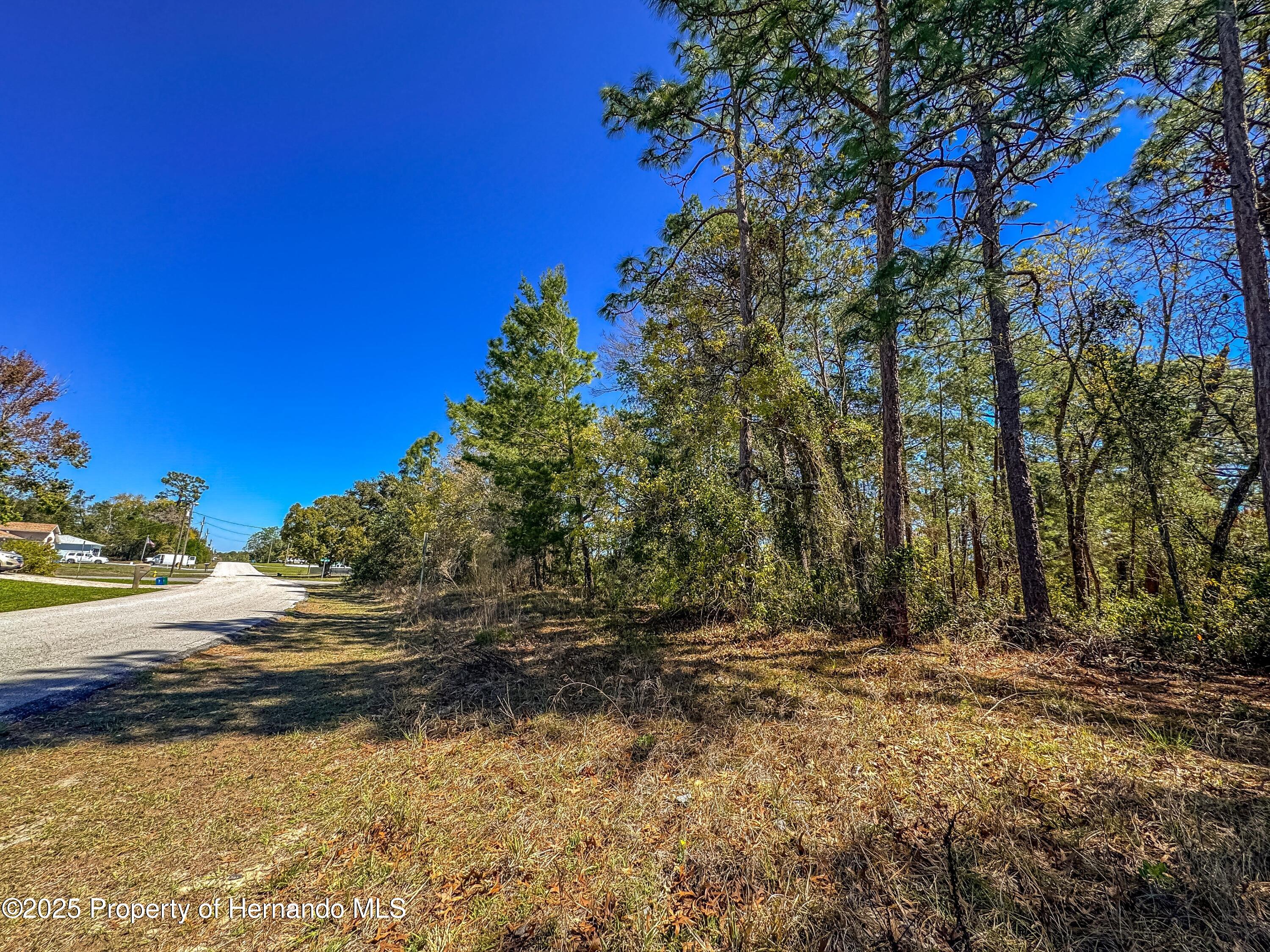 Sheffield Road, Spring Hill, Florida image 6