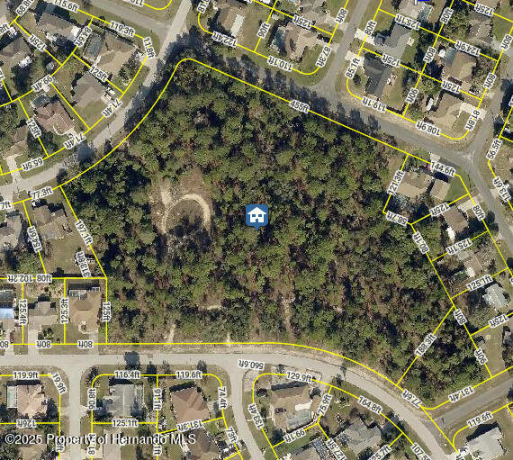 Sheffield Road, Spring Hill, Florida image 26
