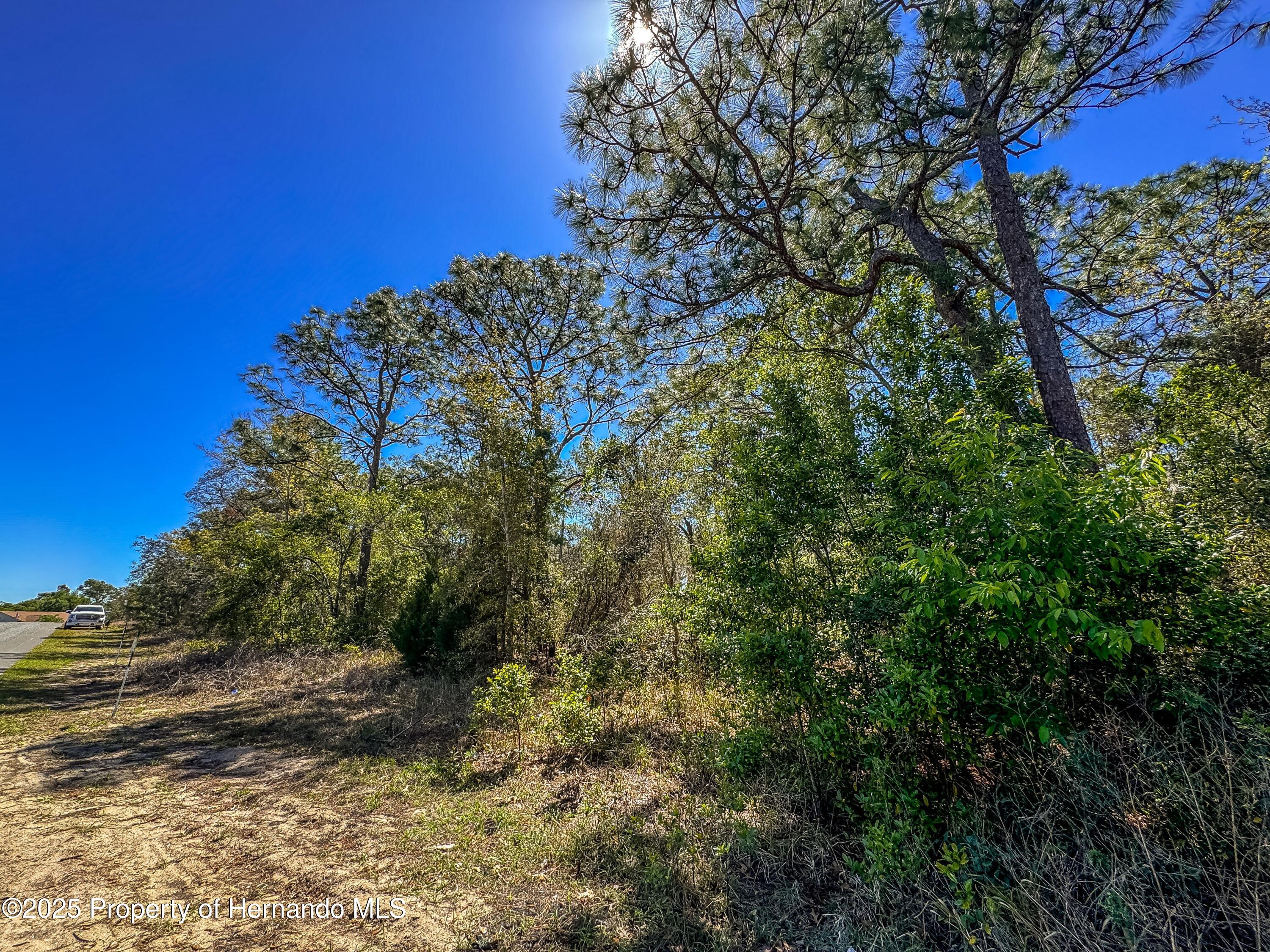 Sheffield Road, Spring Hill, Florida image 22