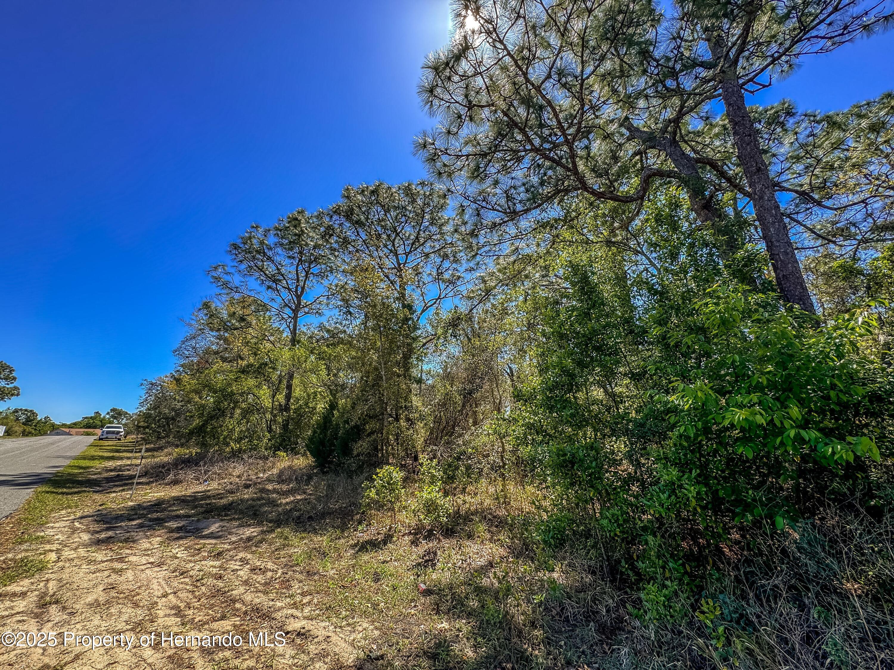 Sheffield Road, Spring Hill, Florida image 23