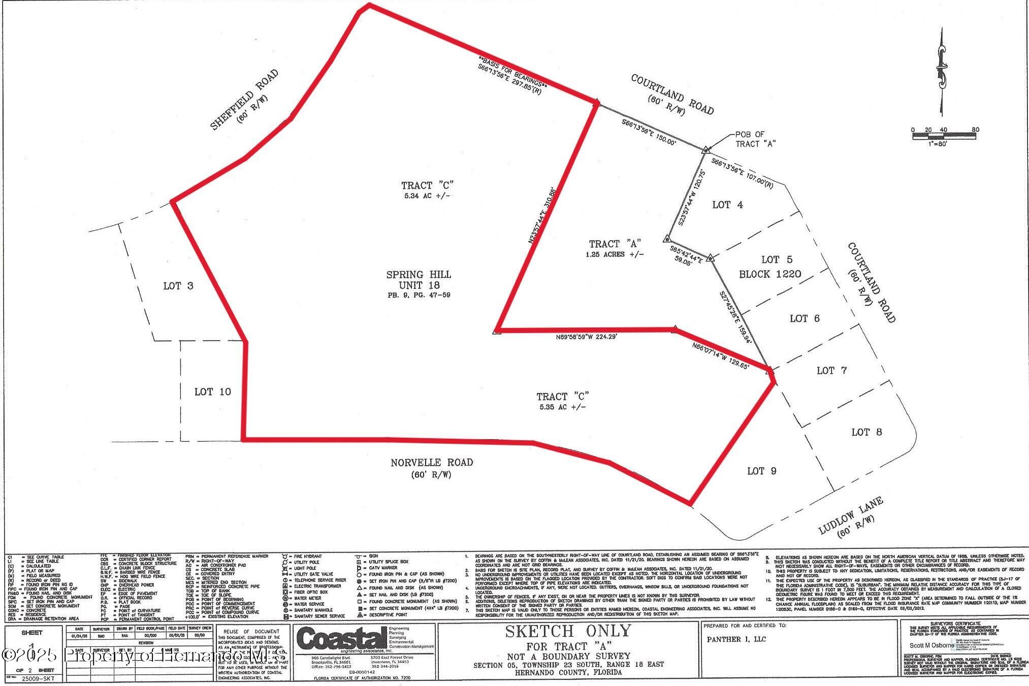 Sheffield Road, Spring Hill, Florida image 28