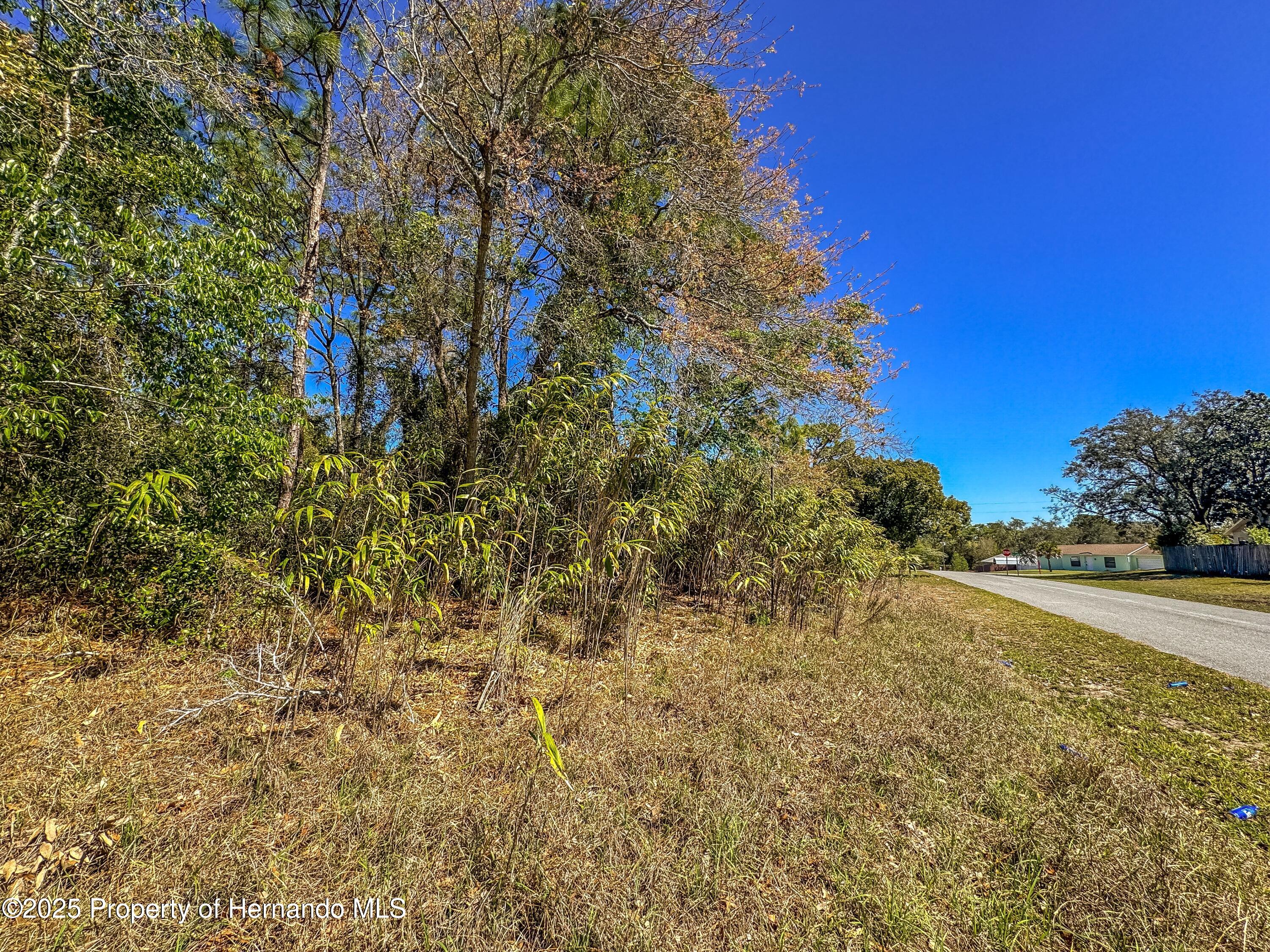 Sheffield Road, Spring Hill, Florida image 13