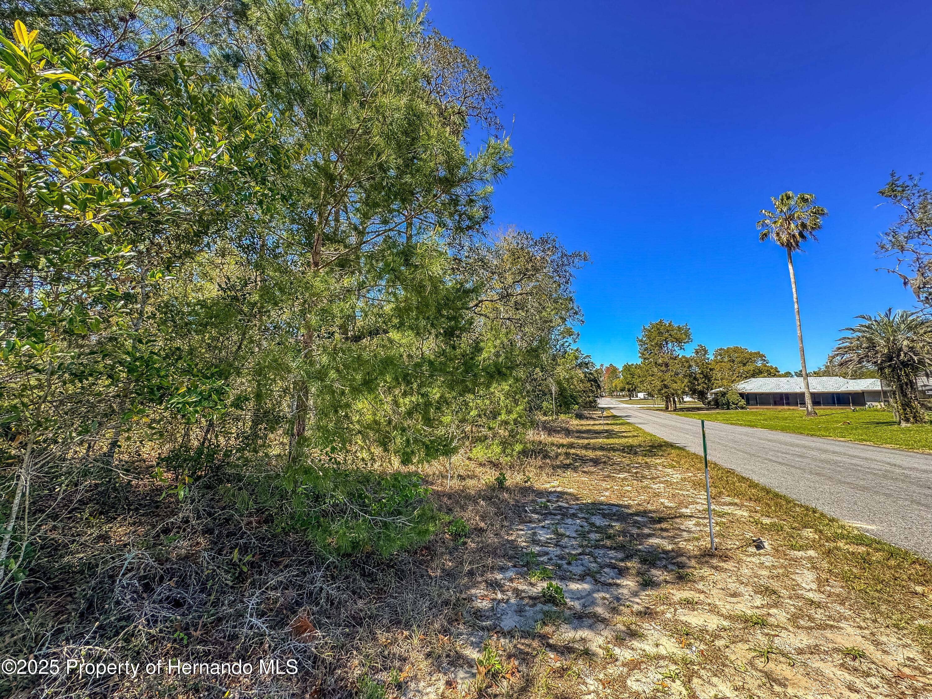 Sheffield Road, Spring Hill, Florida image 21