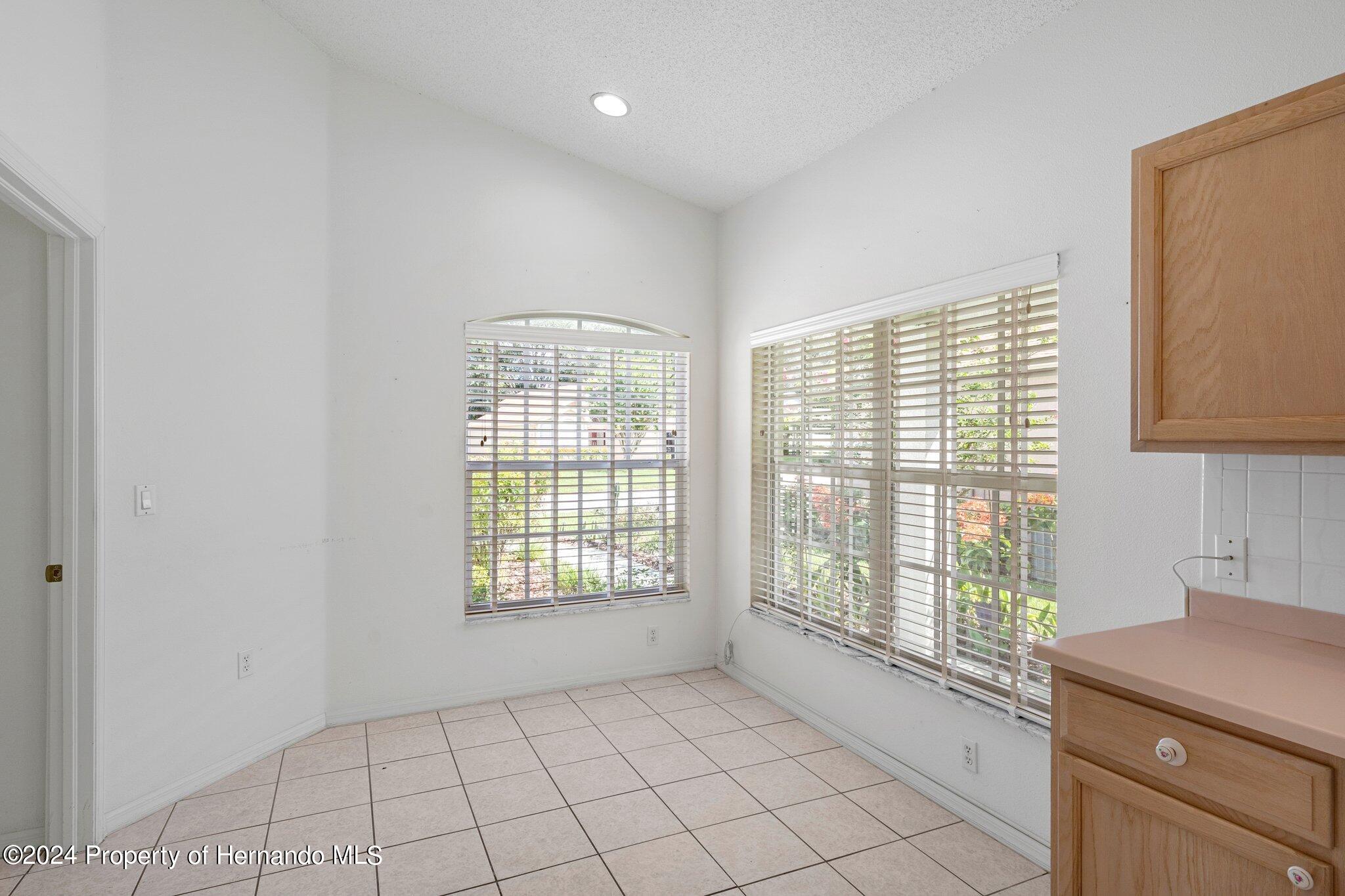 11230 Heathrow Avenue, Spring Hill, Florida image 11