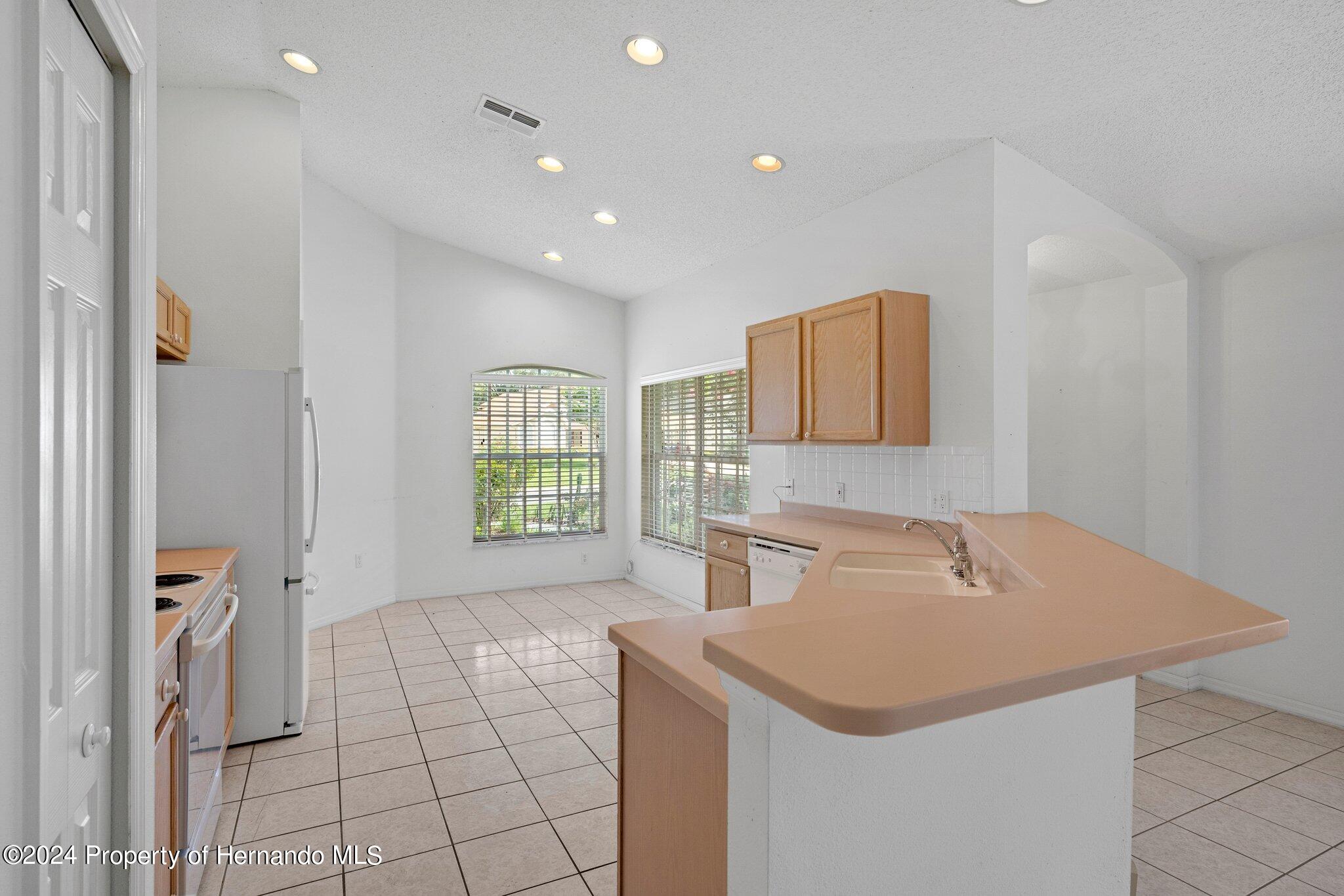 11230 Heathrow Avenue, Spring Hill, Florida image 4