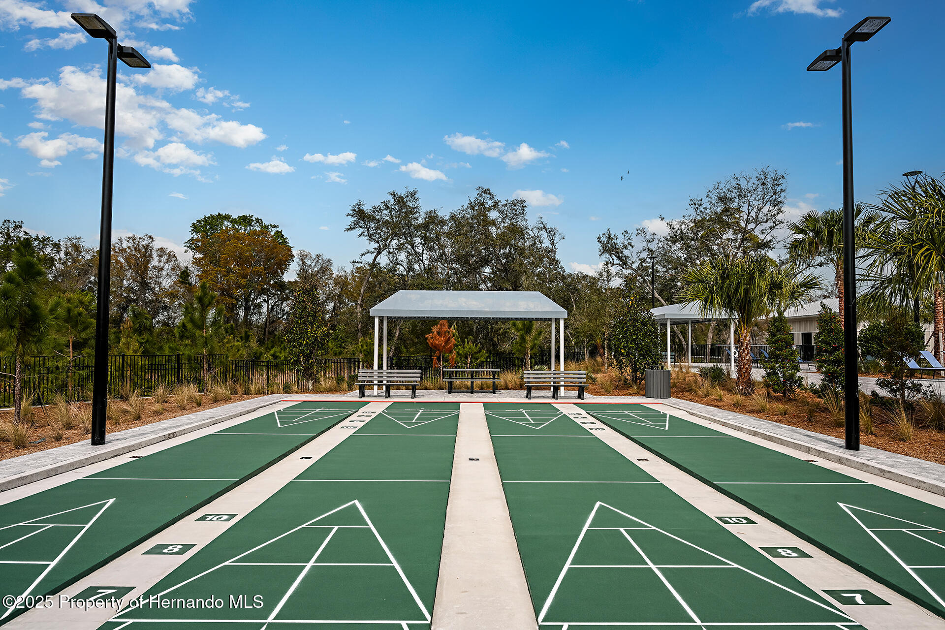 9816 Minnow Ray Drive, LAND O LAKES, Florida image 41