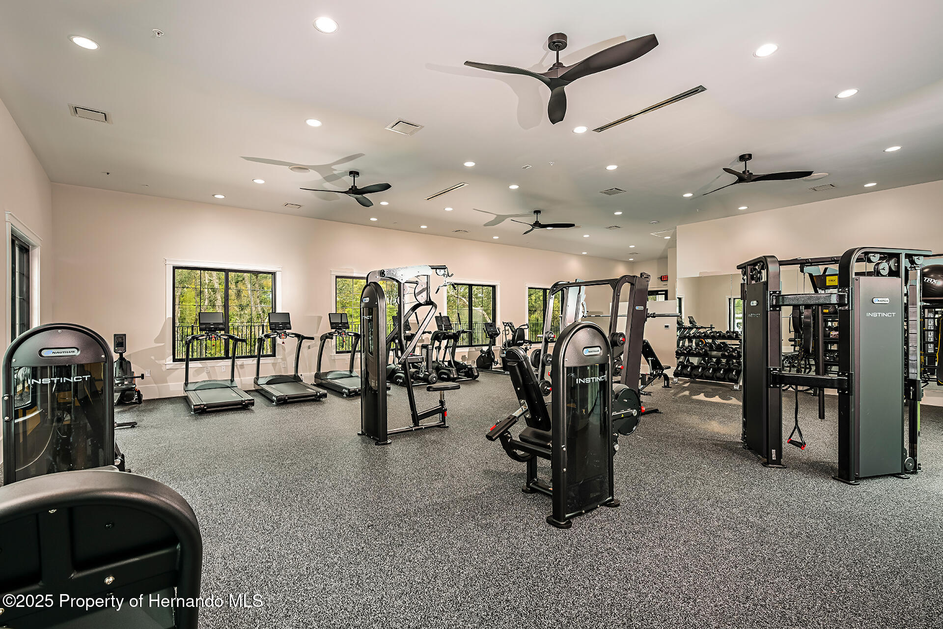 9816 Minnow Ray Drive, LAND O LAKES, Florida image 13