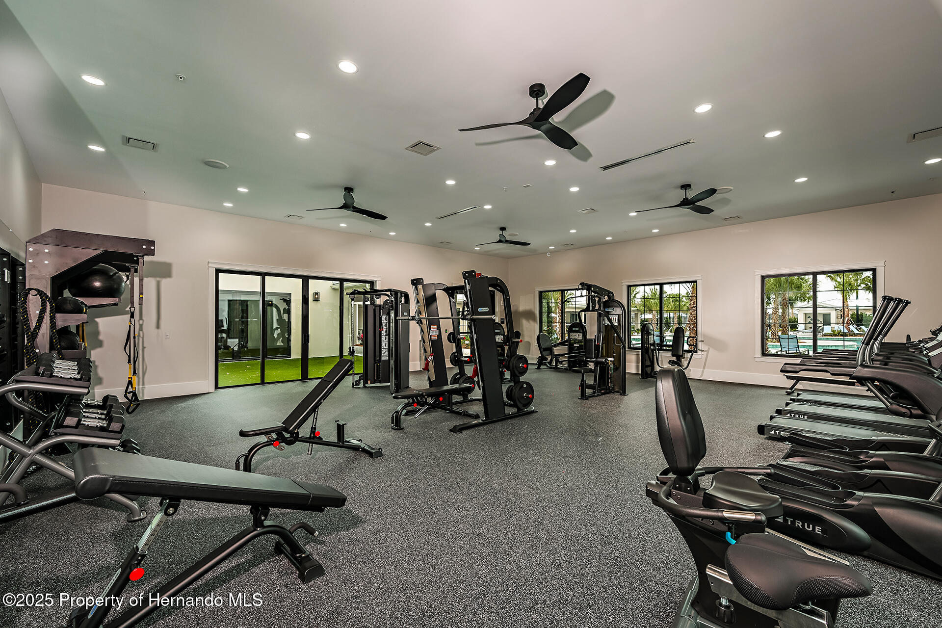 9816 Minnow Ray Drive, LAND O LAKES, Florida image 15