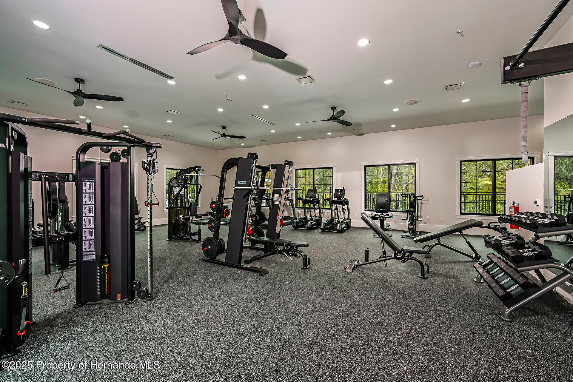9816 Minnow Ray Drive, LAND O LAKES, Florida image 14
