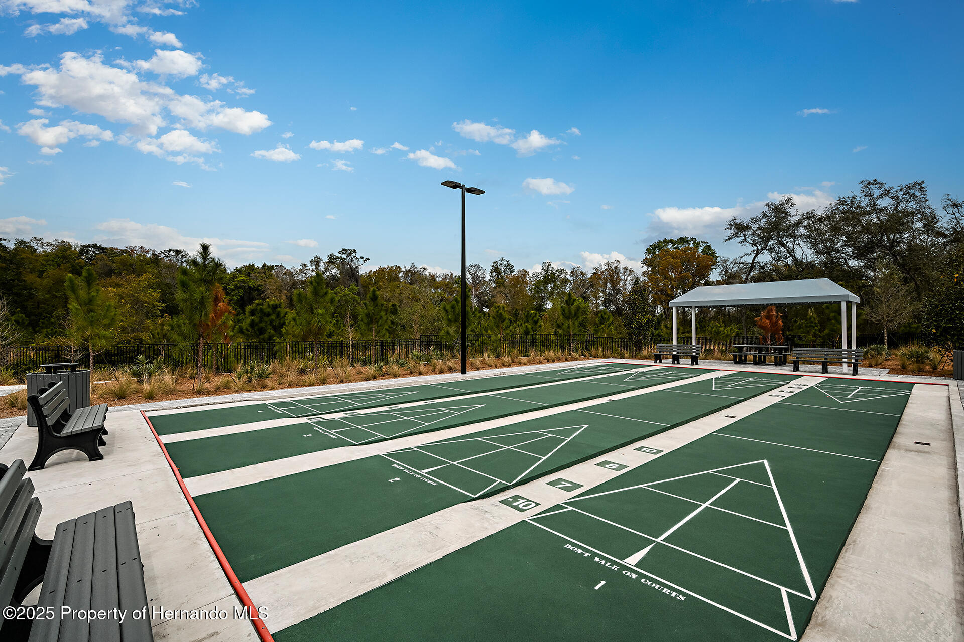 9816 Minnow Ray Drive, LAND O LAKES, Florida image 37