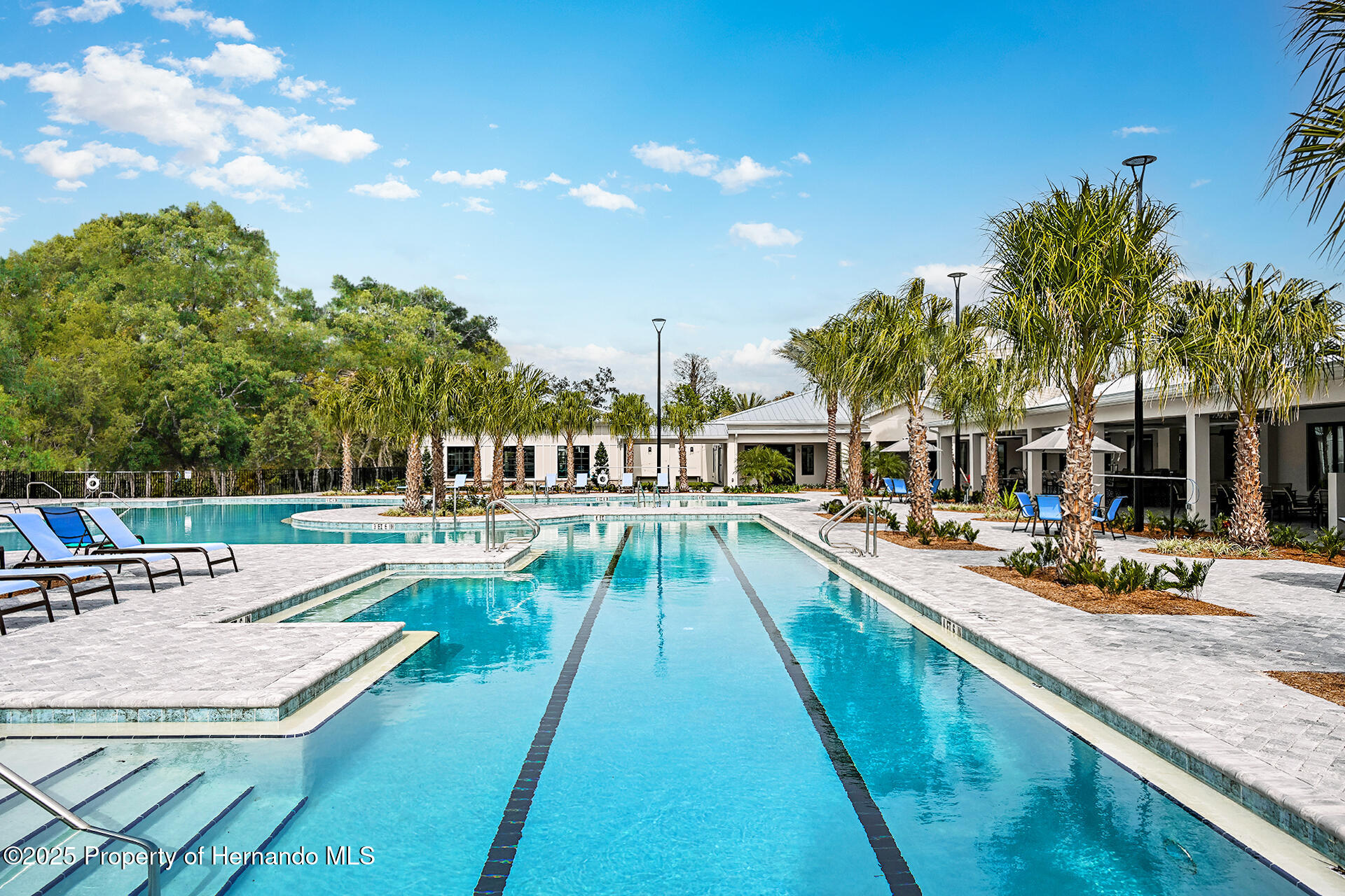 9816 Minnow Ray Drive, LAND O LAKES, Florida image 34