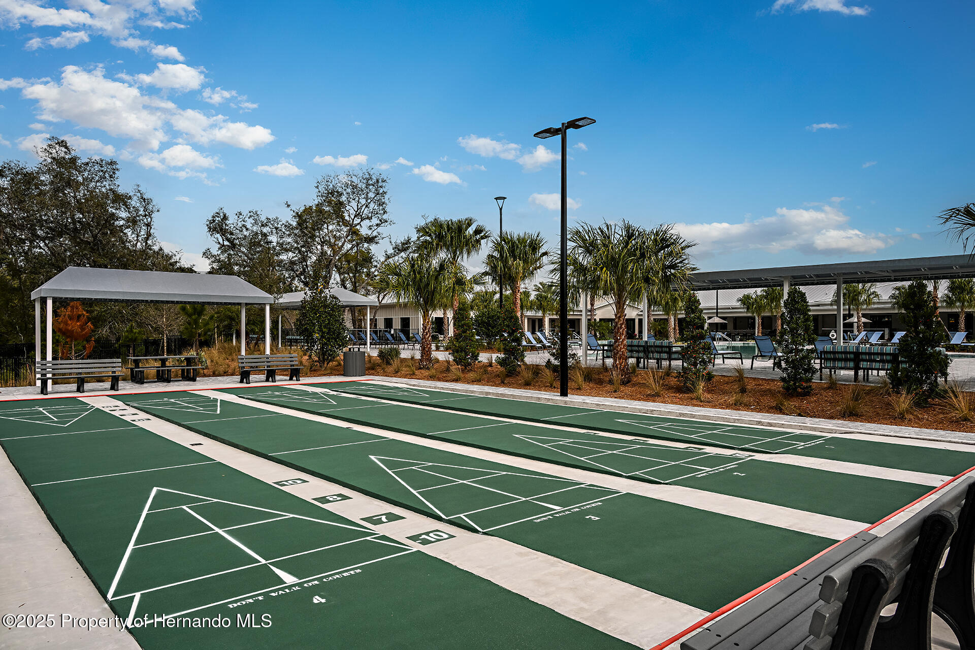 9816 Minnow Ray Drive, LAND O LAKES, Florida image 40