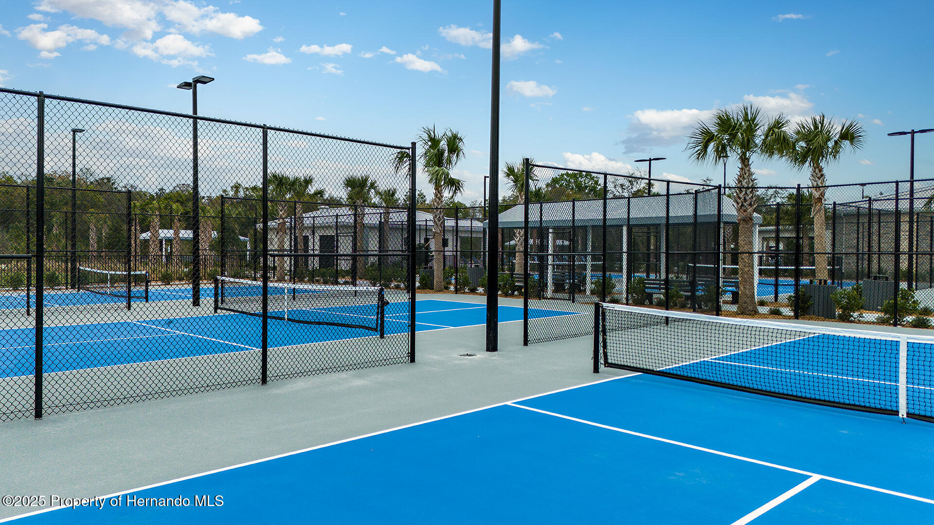 9816 Minnow Ray Drive, LAND O LAKES, Florida image 27