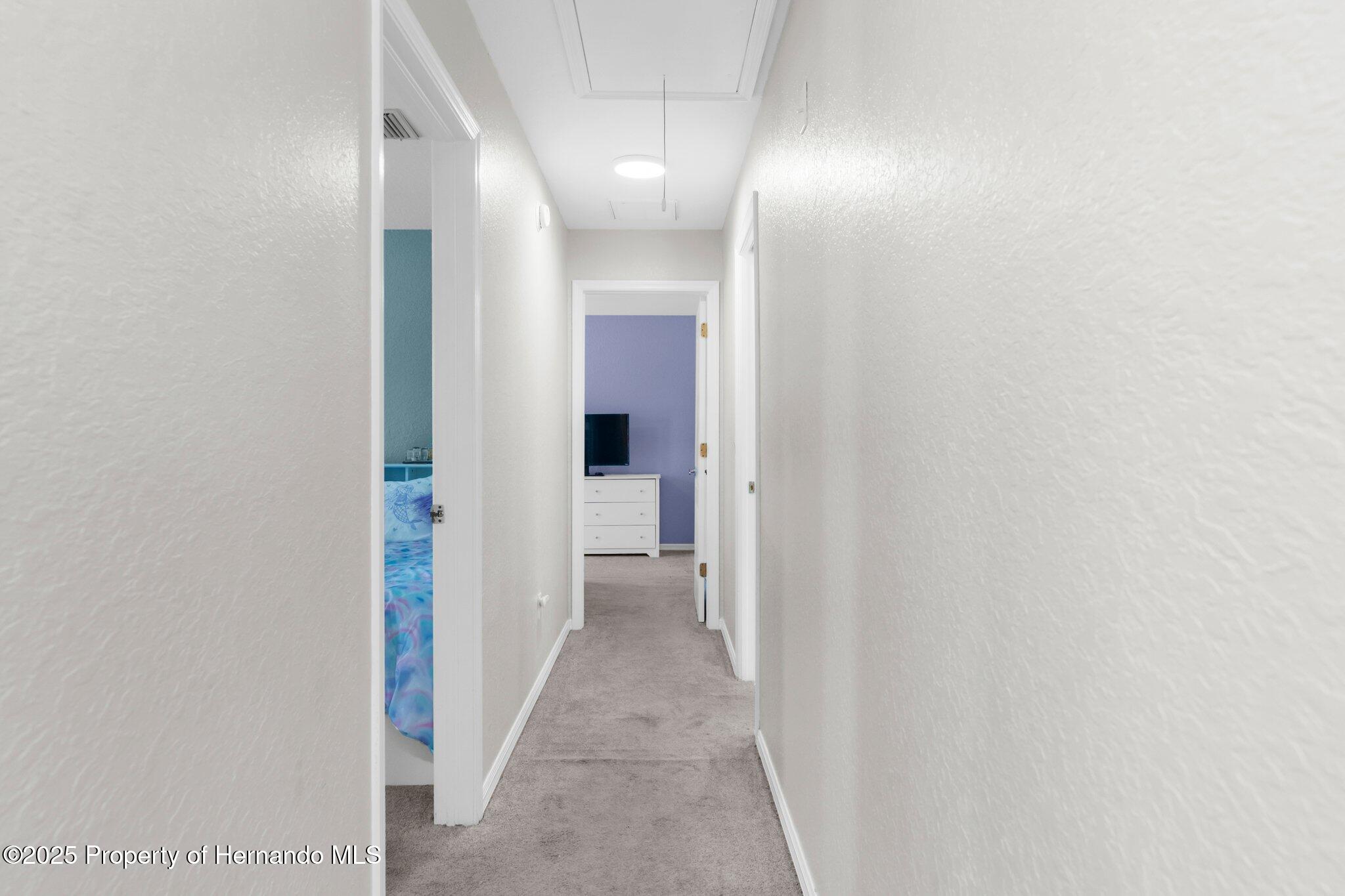 8084 Nightingale Road, Weeki Wachee, Florida image 26