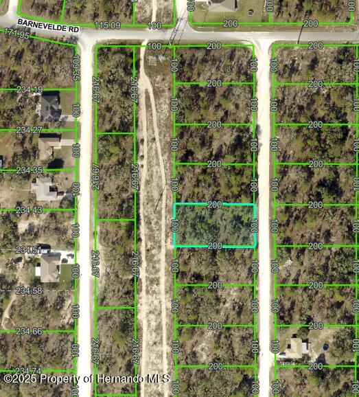 15157 Goldeneye Road, Brooksville, Florida image 2