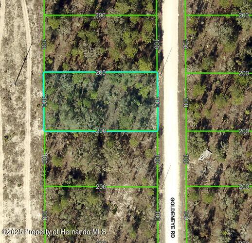 15157 Goldeneye Road, Brooksville, Florida image 1
