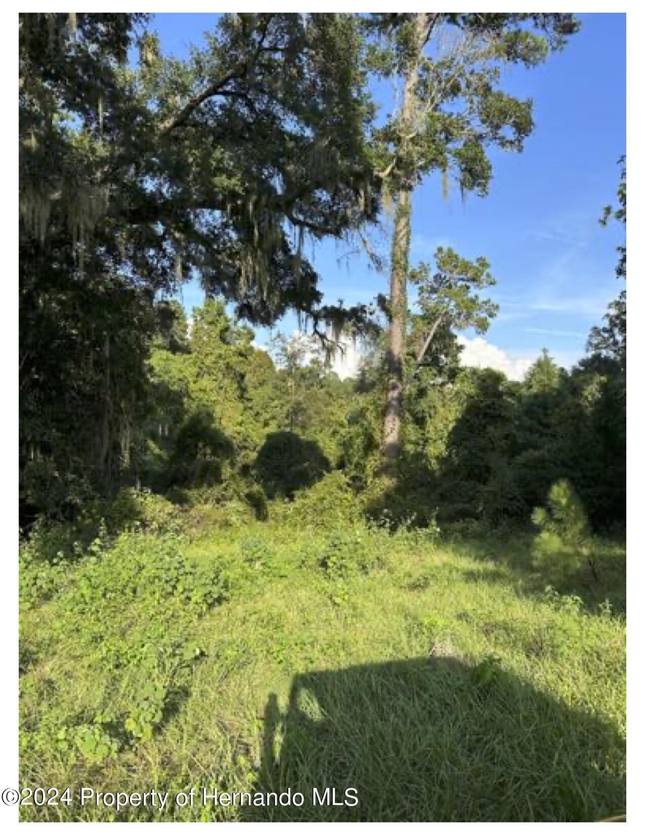 22380 Powell Road, Brooksville, Florida image 8