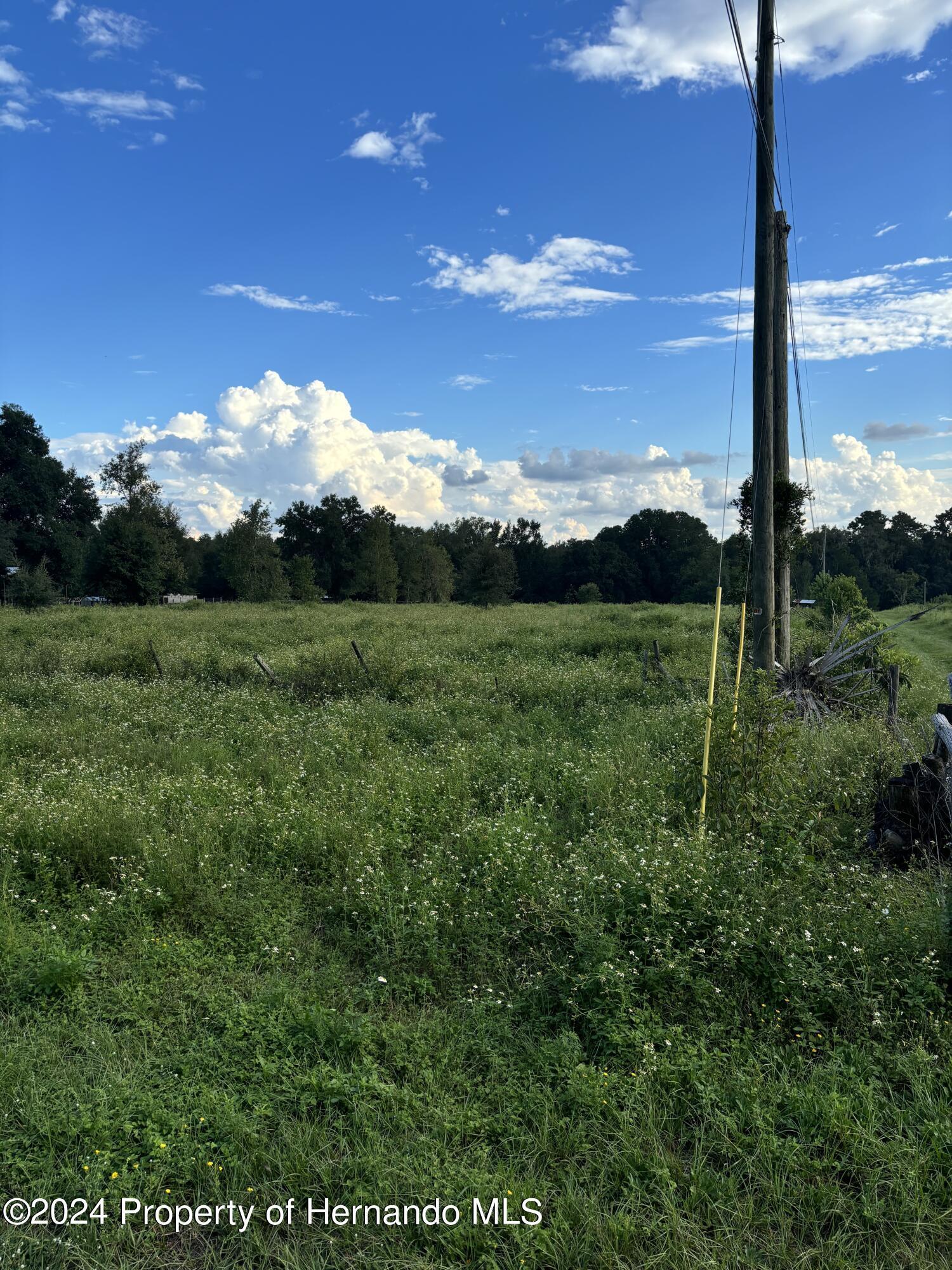 22380 Powell Road, Brooksville, Florida image 9