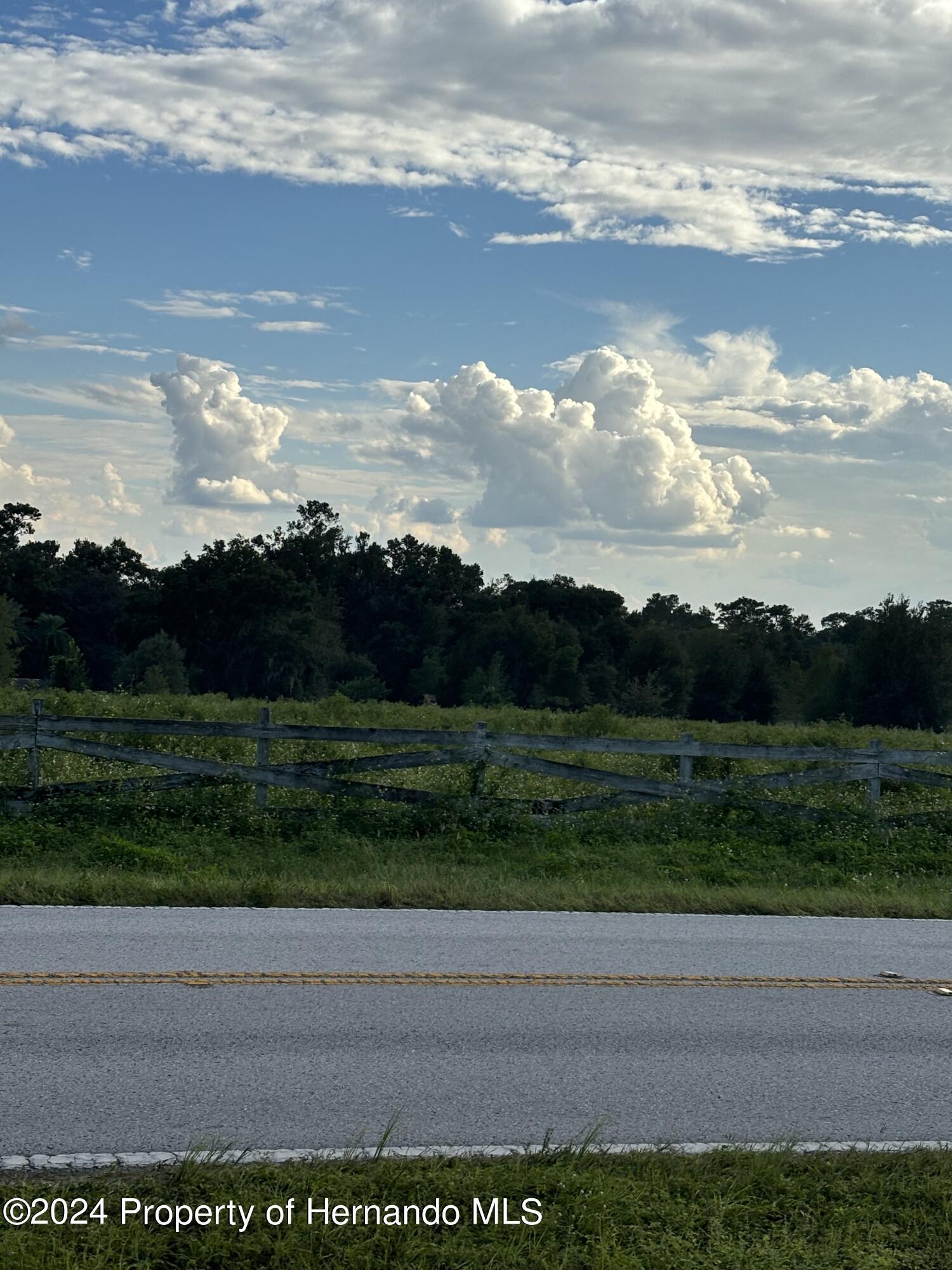 22380 Powell Road, Brooksville, Florida image 1