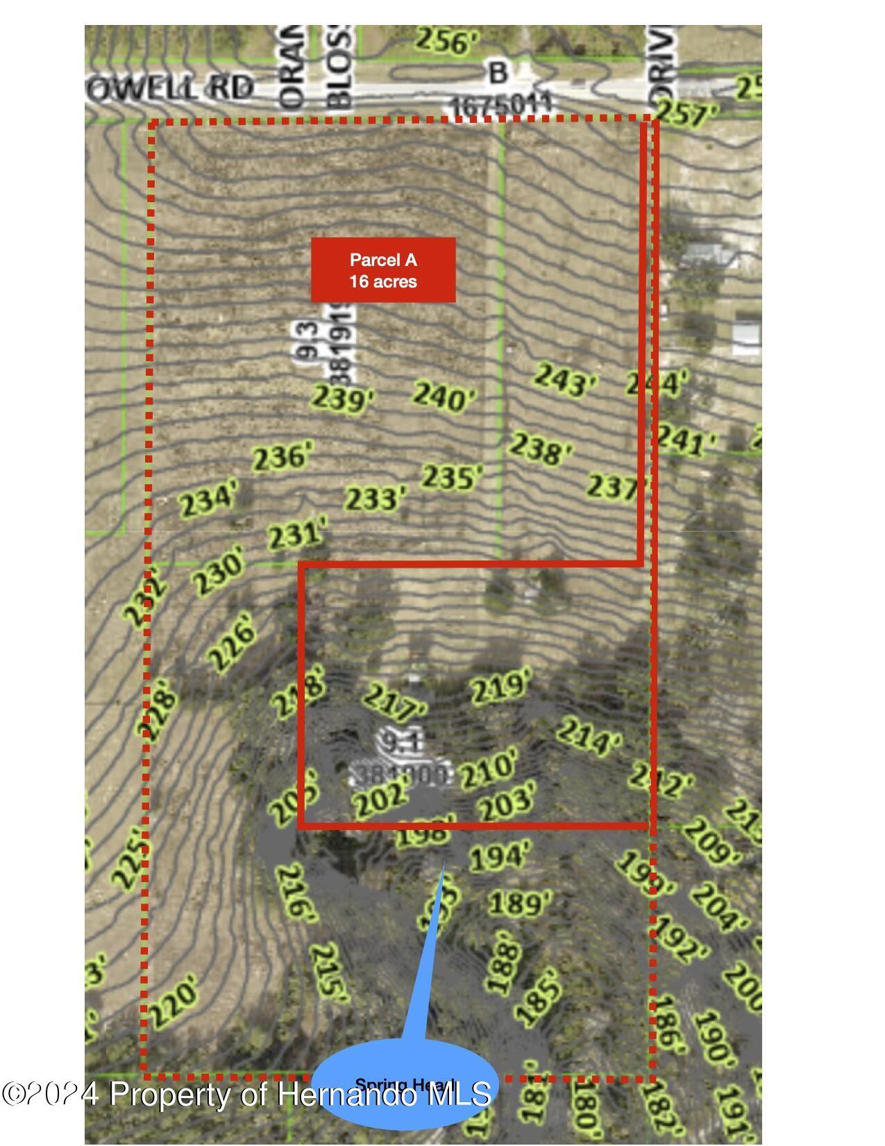 22380 Powell Road, Brooksville, Florida image 4
