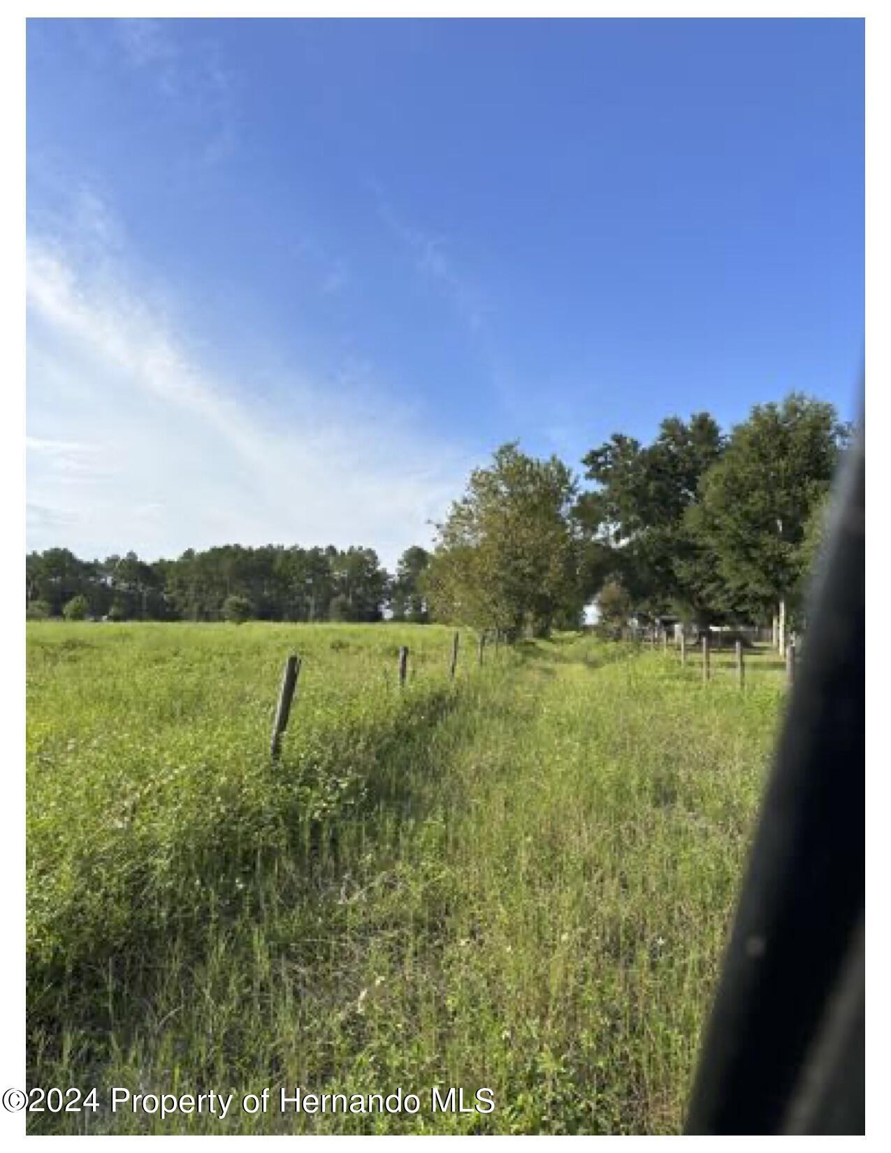 22380 Powell Road, Brooksville, Florida image 7