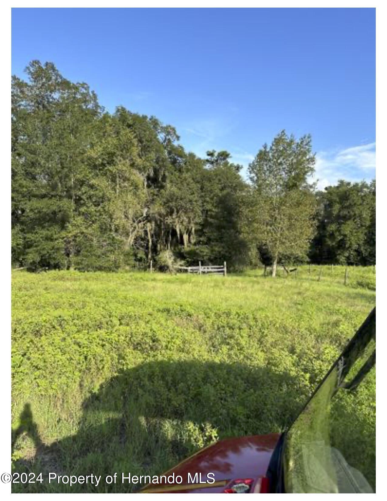 22380 Powell Road, Brooksville, Florida image 6