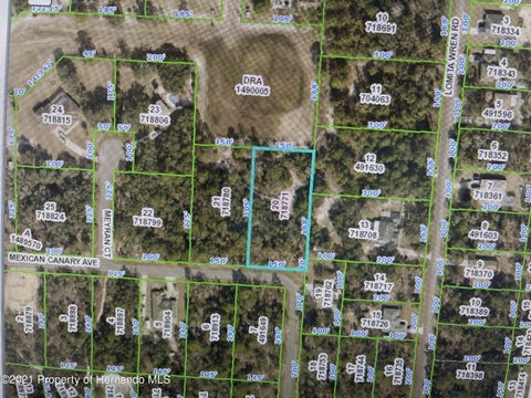 Vacant Land For Sale - Mexican Canary Avenue<br/> Brooksville, FL 34614