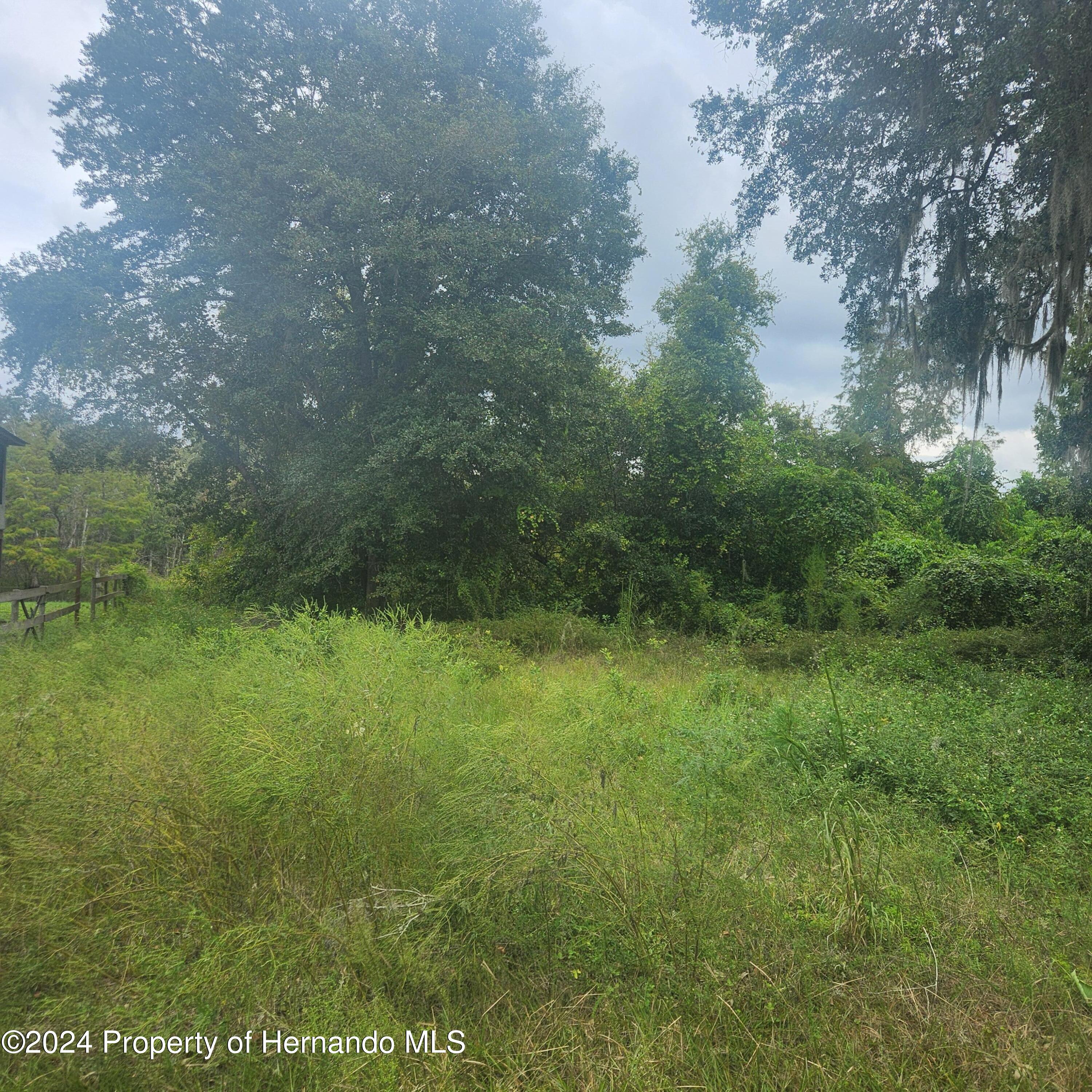 6363 S Dolphin Drive, Floral City, Florida image 2