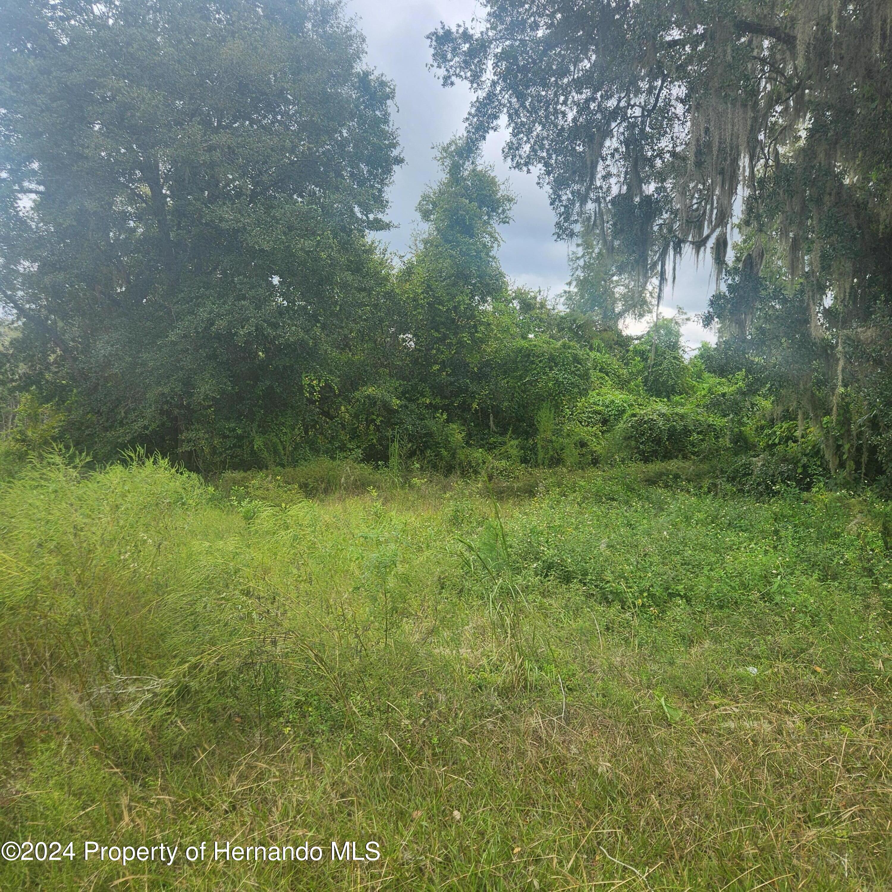 6363 S Dolphin Drive, Floral City, Florida image 1